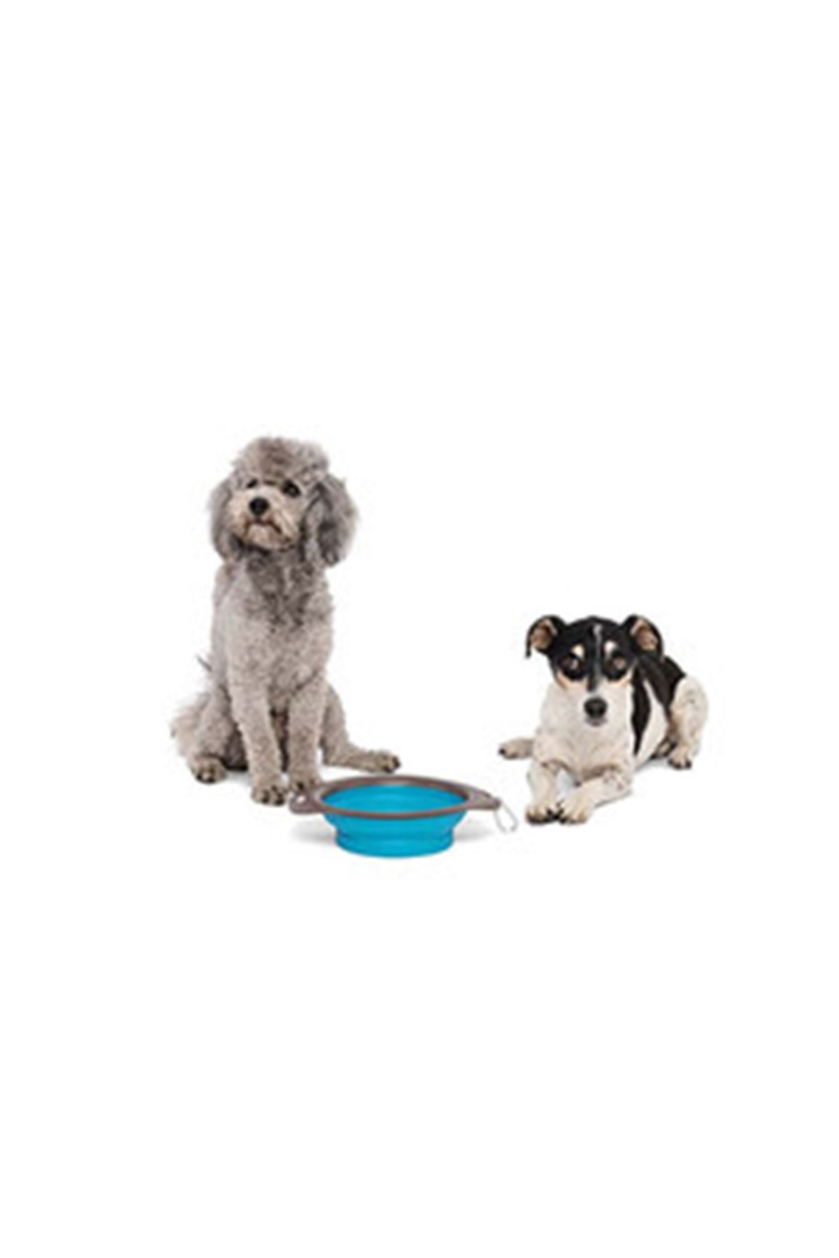 M-Pets Mama ve Su Kabı Katlanır Silikon Mavi 750Ml