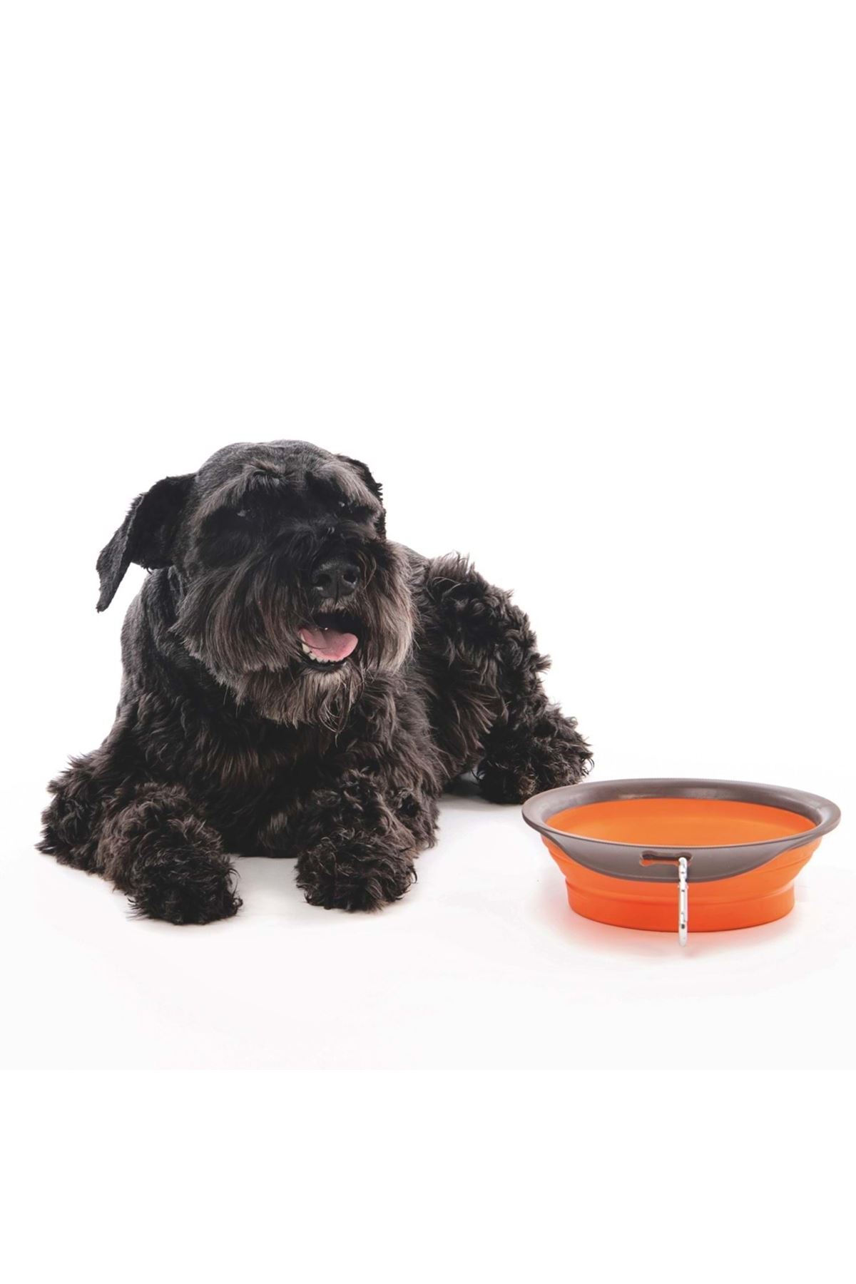 M-Pets Mama ve Su Kabı Katlanır Silikon Turuncu