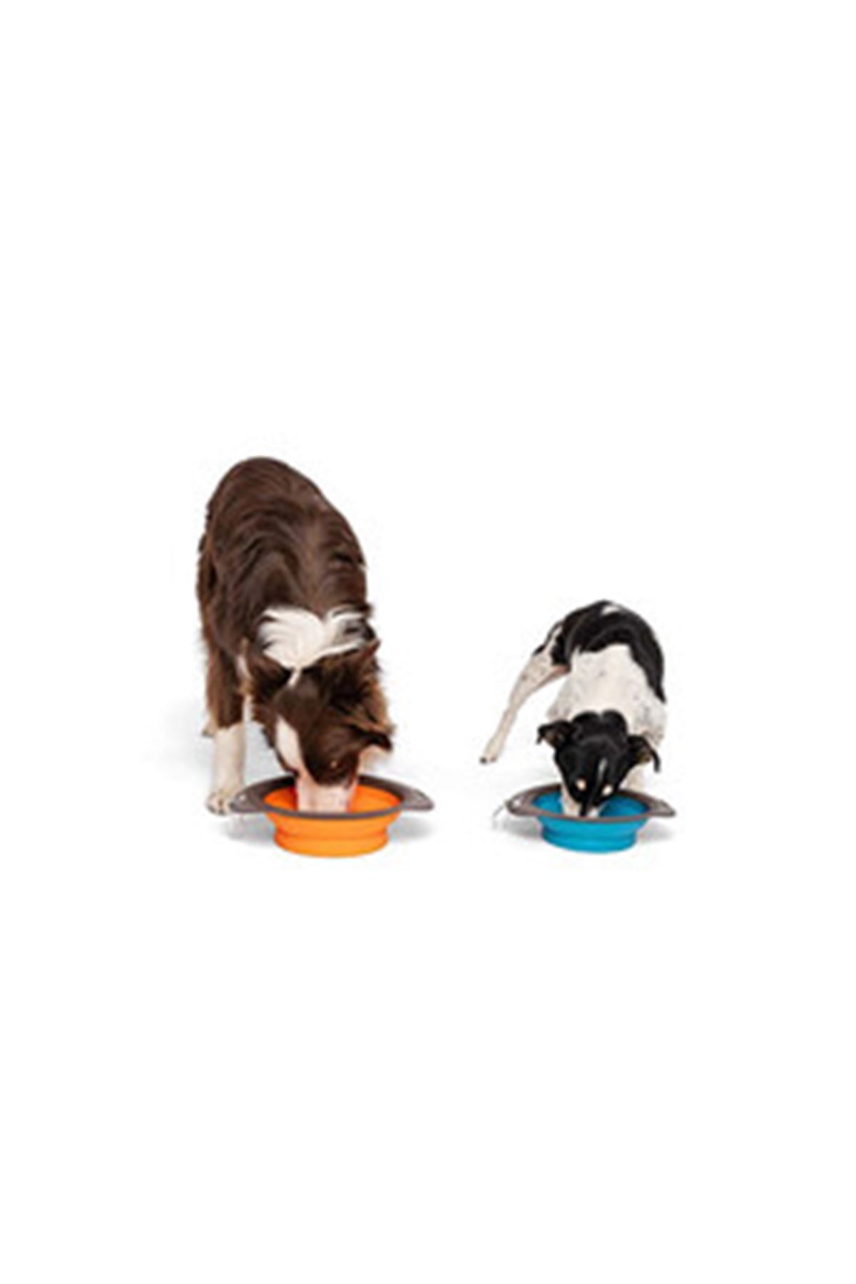 M-Pets Mama ve Su Kabı Katlanır Silikon Mavi 750Ml