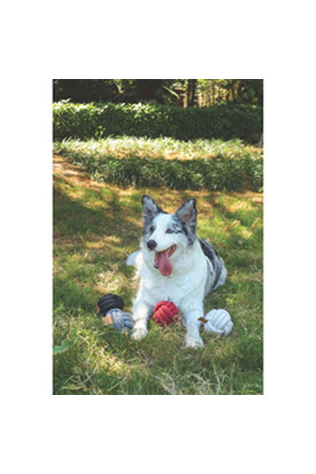 M-Pets Köpek Oyuncağı Örgü Top Beyaz 9.5 Cm