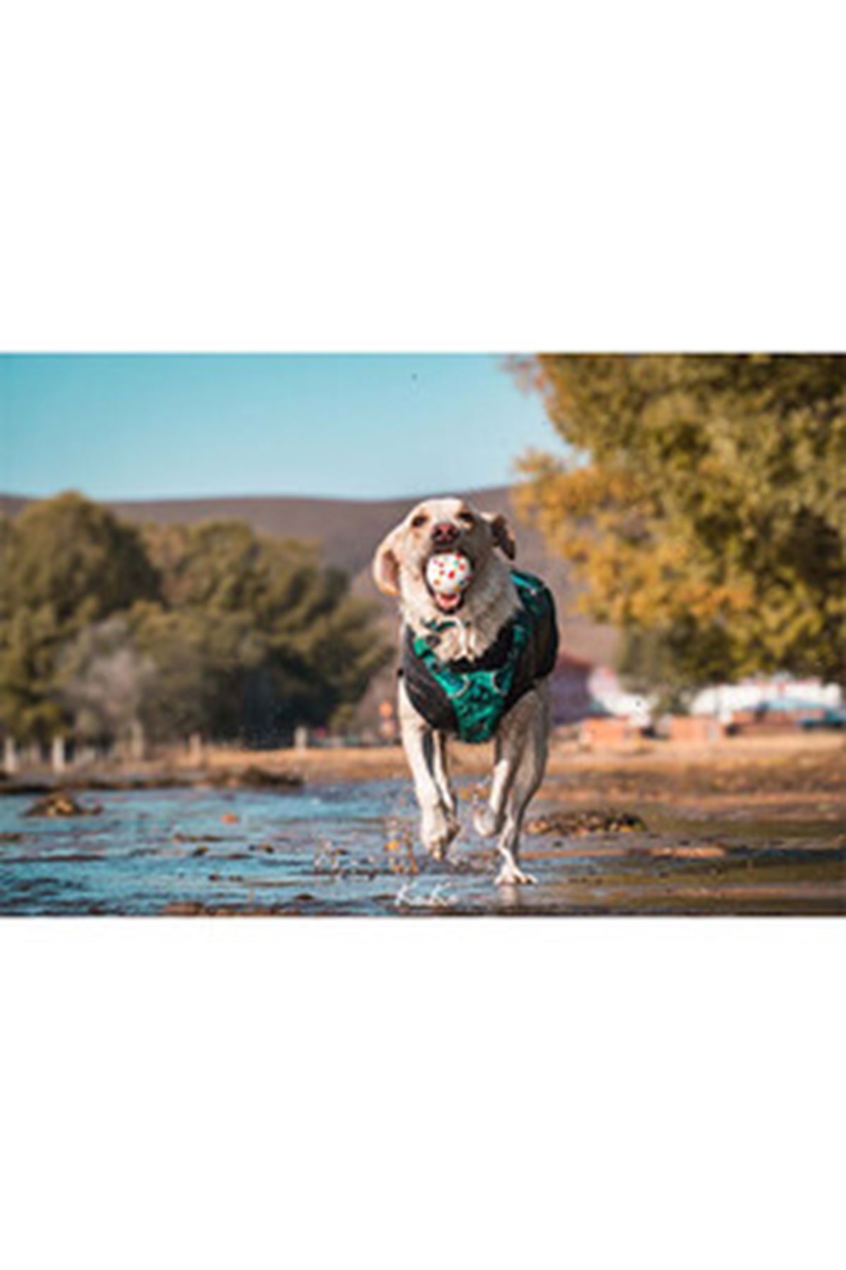 M-Pets Köpek Oyuncağı Parçalanmaz Top Beyaz 7 Cm