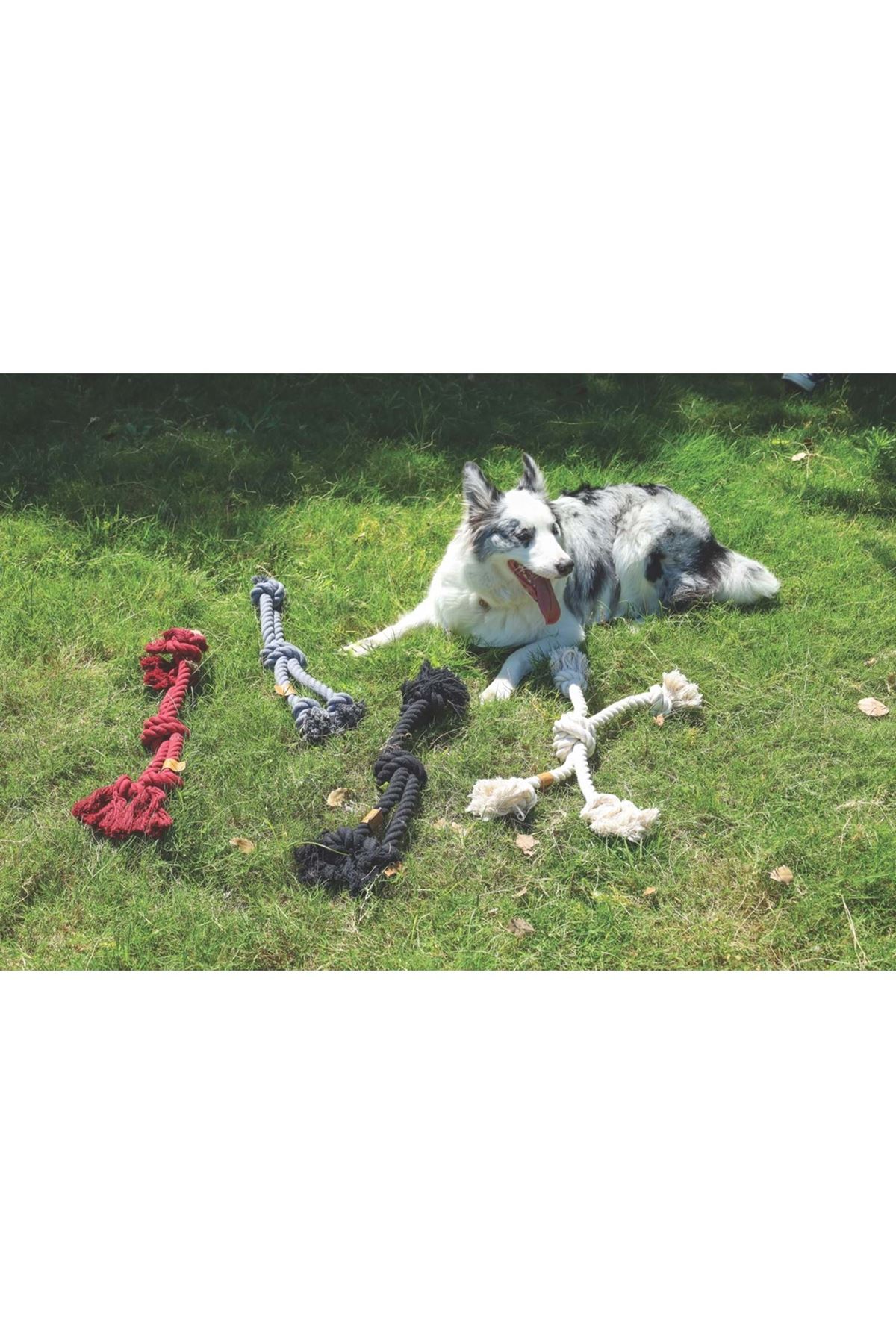 M-Pets Köpek Diş İpi Örgü Gri 60*11.5 Cm