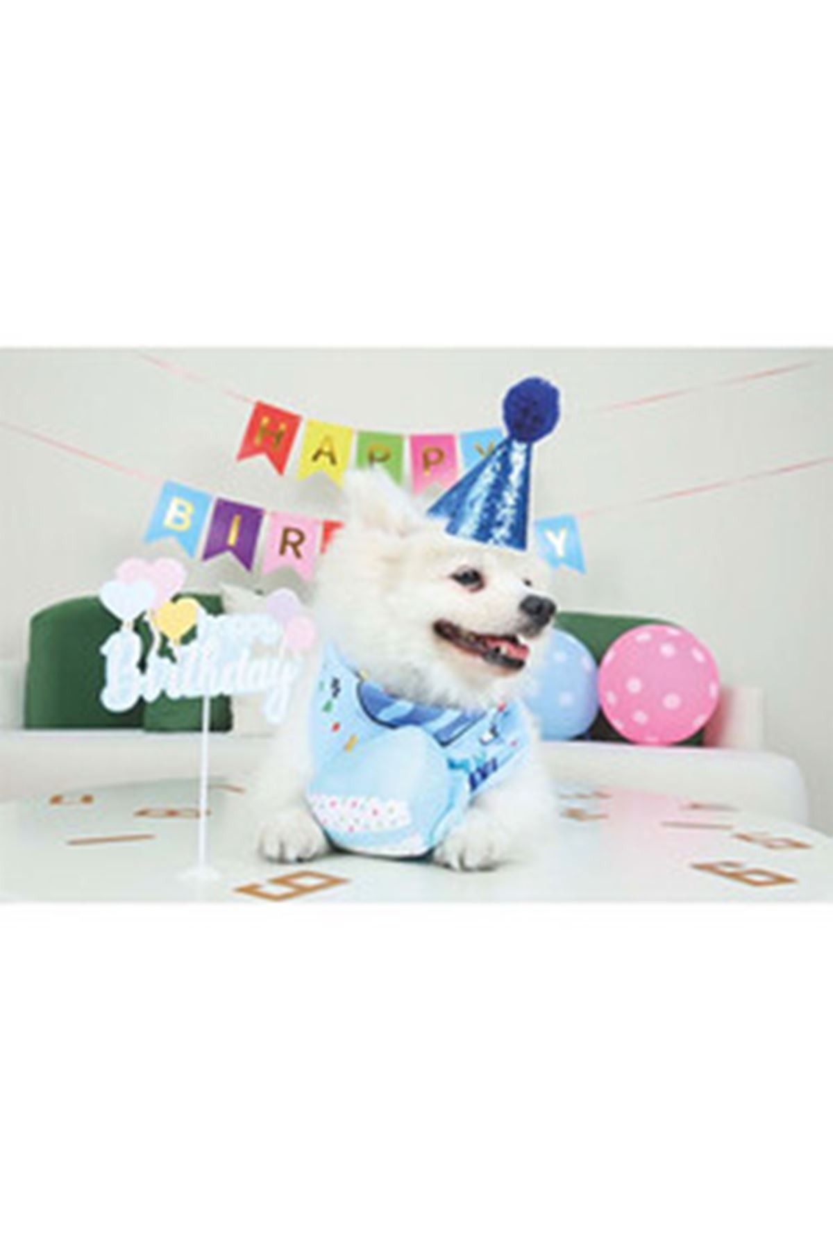 M-Pets Erkek Köpekler İçin Doğum Günü Seti