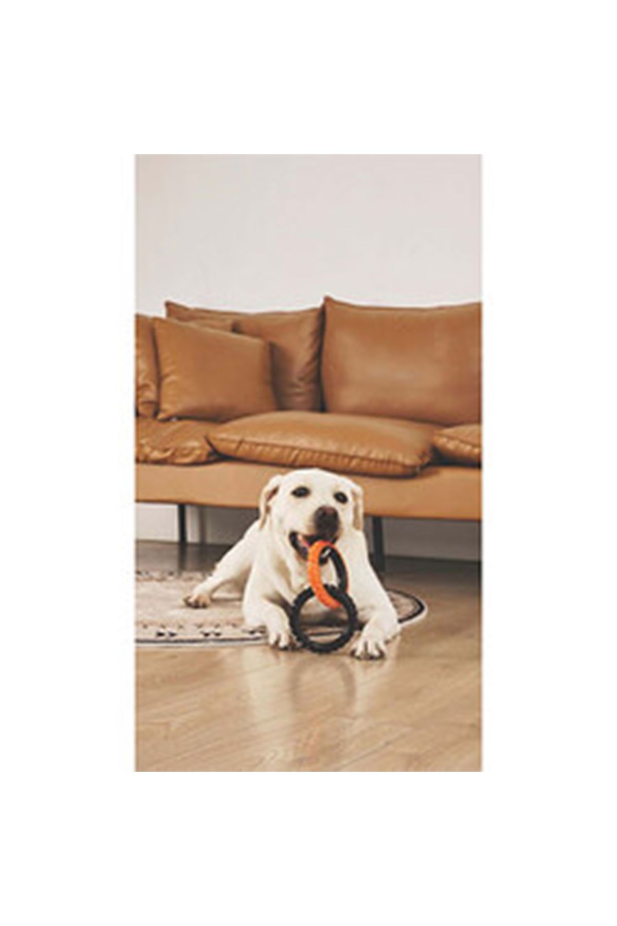 M-Pets Köpek Oyuncağı Double Ring King 2'Li