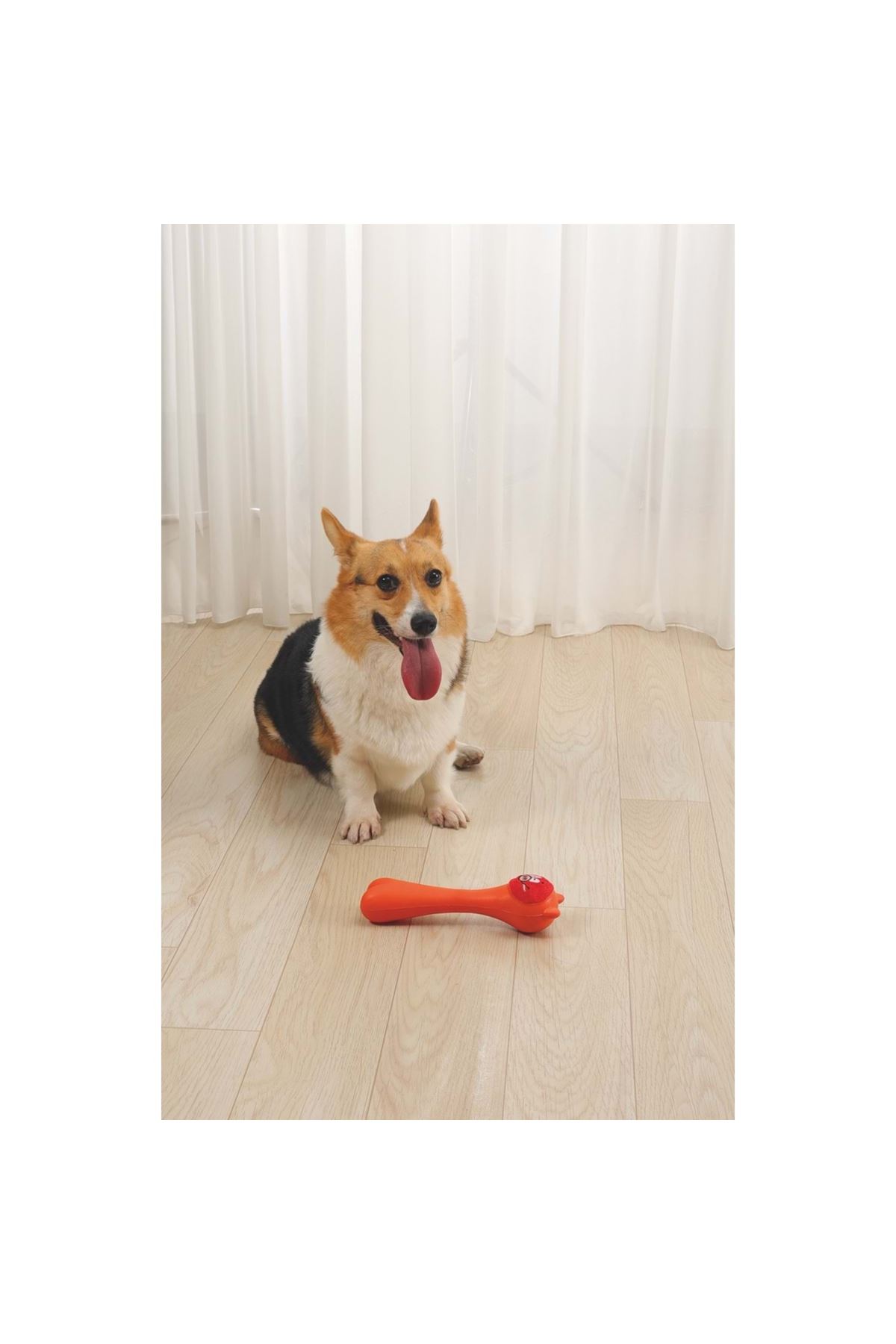 M-Pets Köpek Oyuncağı Rob Ödül Hazneli Turuncu