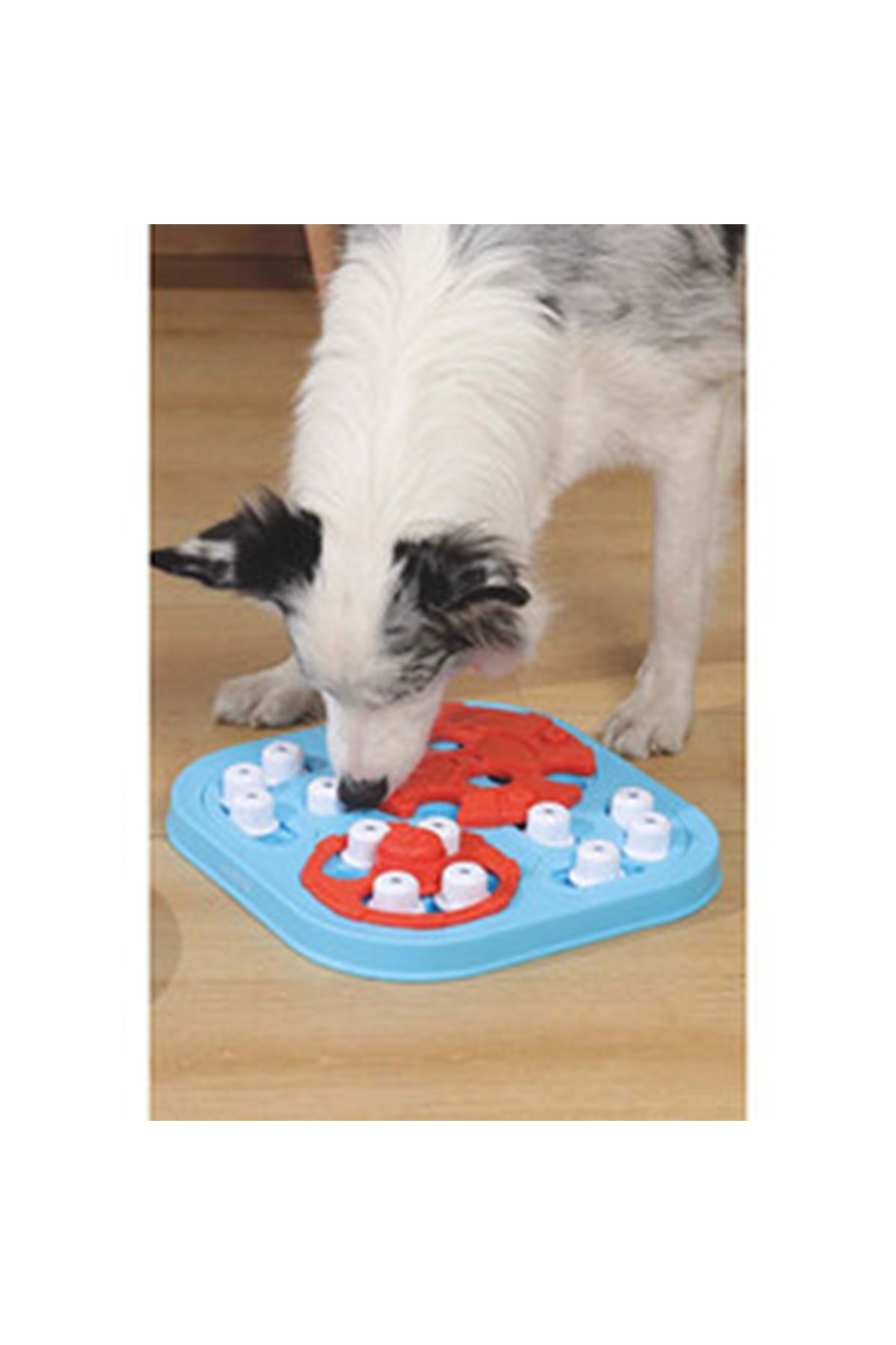 M-Pets Köpek Eğitim Oyuncağı Puzzle 3.Seviye