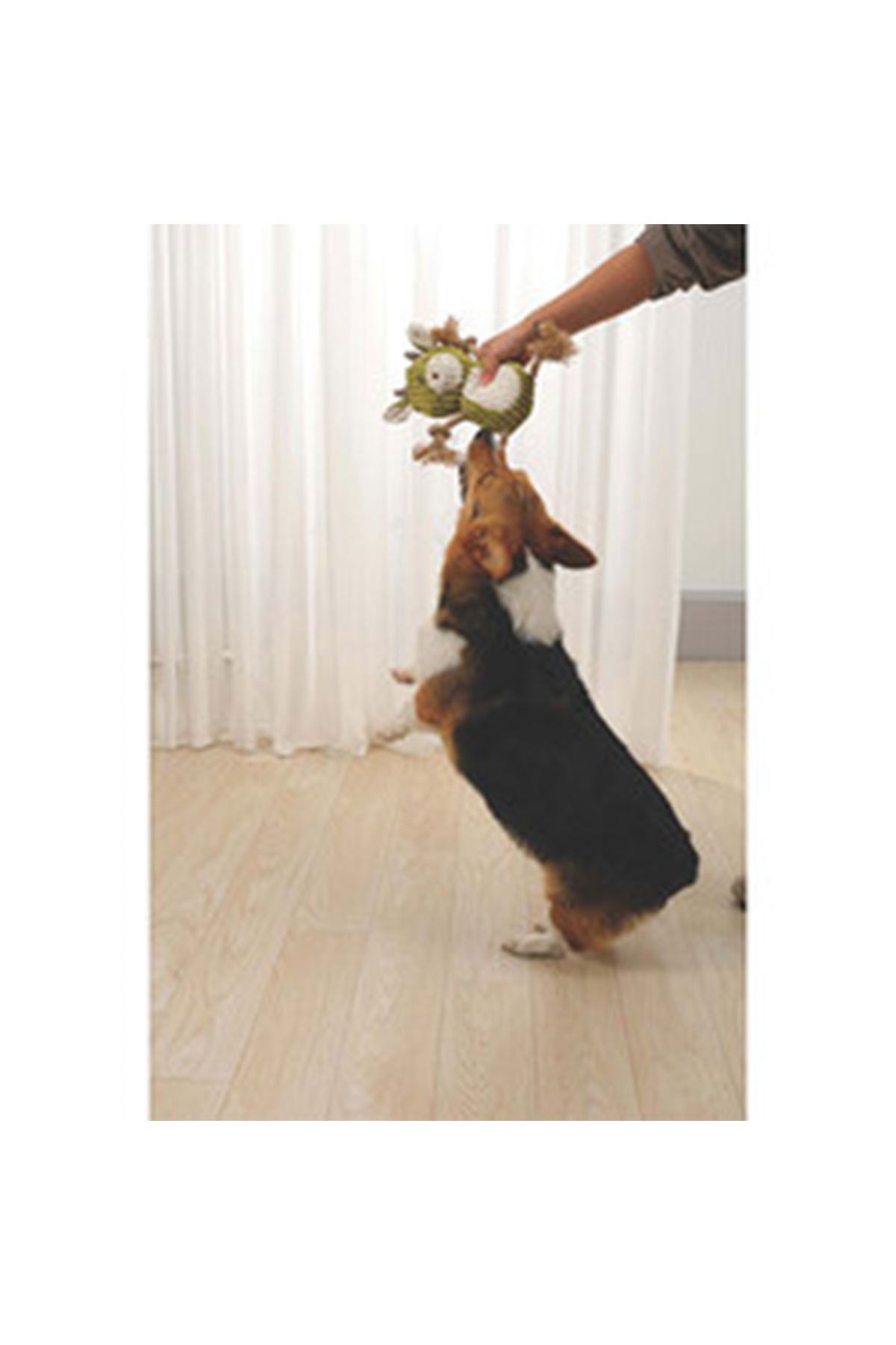 M-Pets Köpek Oyuncağı Peluş Rosie 28*23*11 Cm
