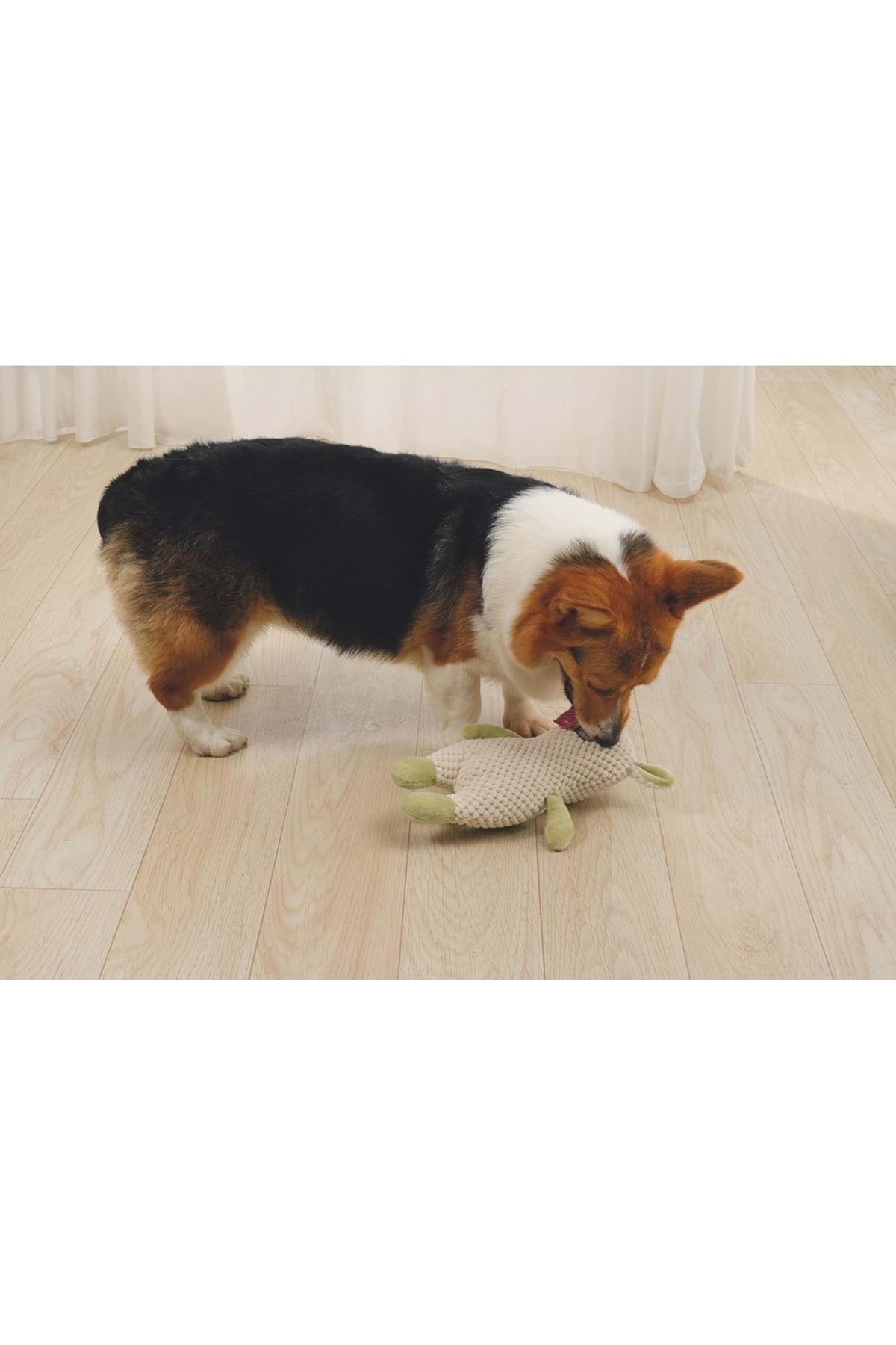 M-Pets Köpek Oyuncağı Vigo 23*11*8 Cm