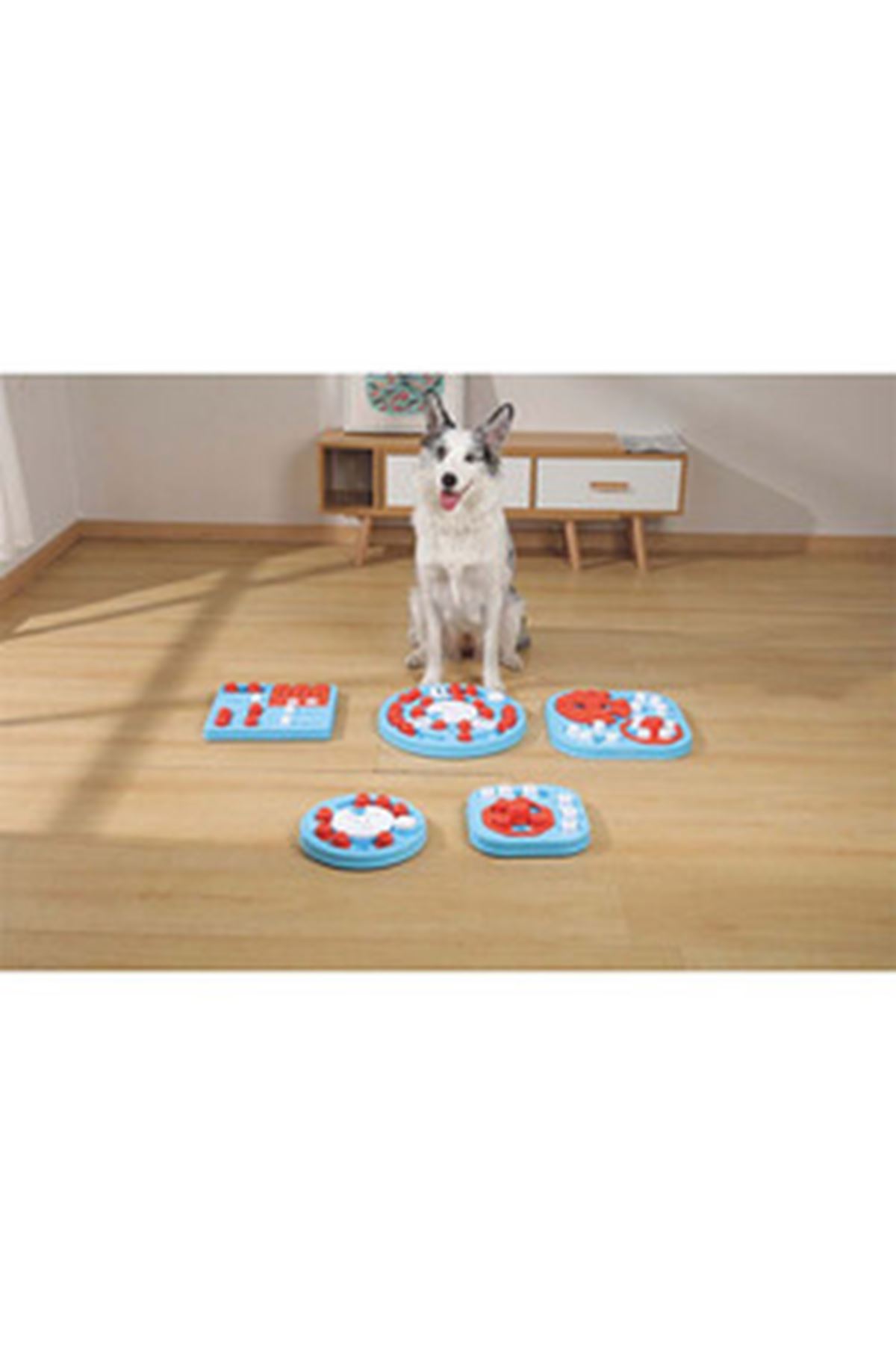 M-Pets Köpek Eğitim Oyuncağı Puzzle 3.Seviye