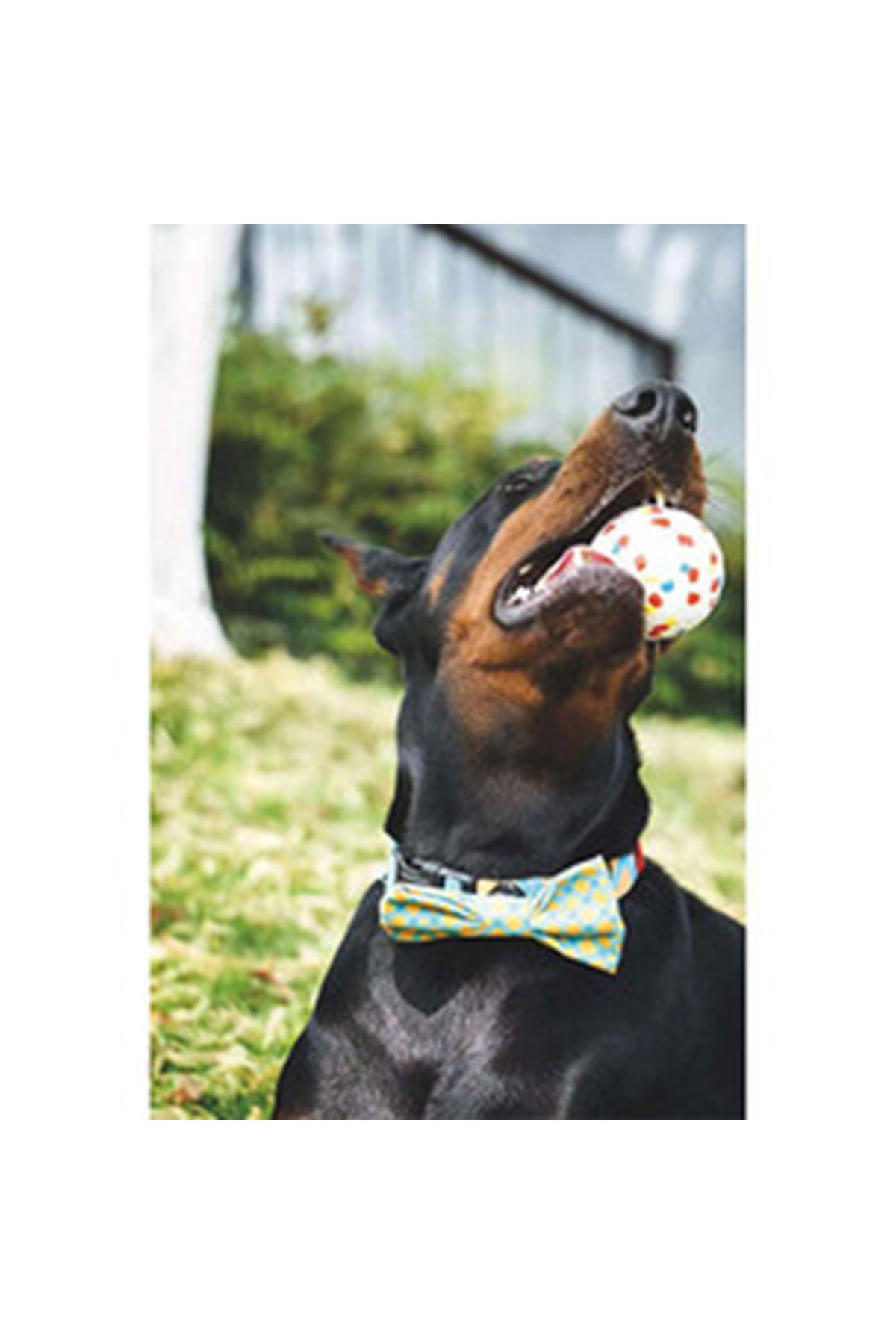 M-Pets Köpek Oyuncağı Parçalanmaz Top Beyaz 7 Cm