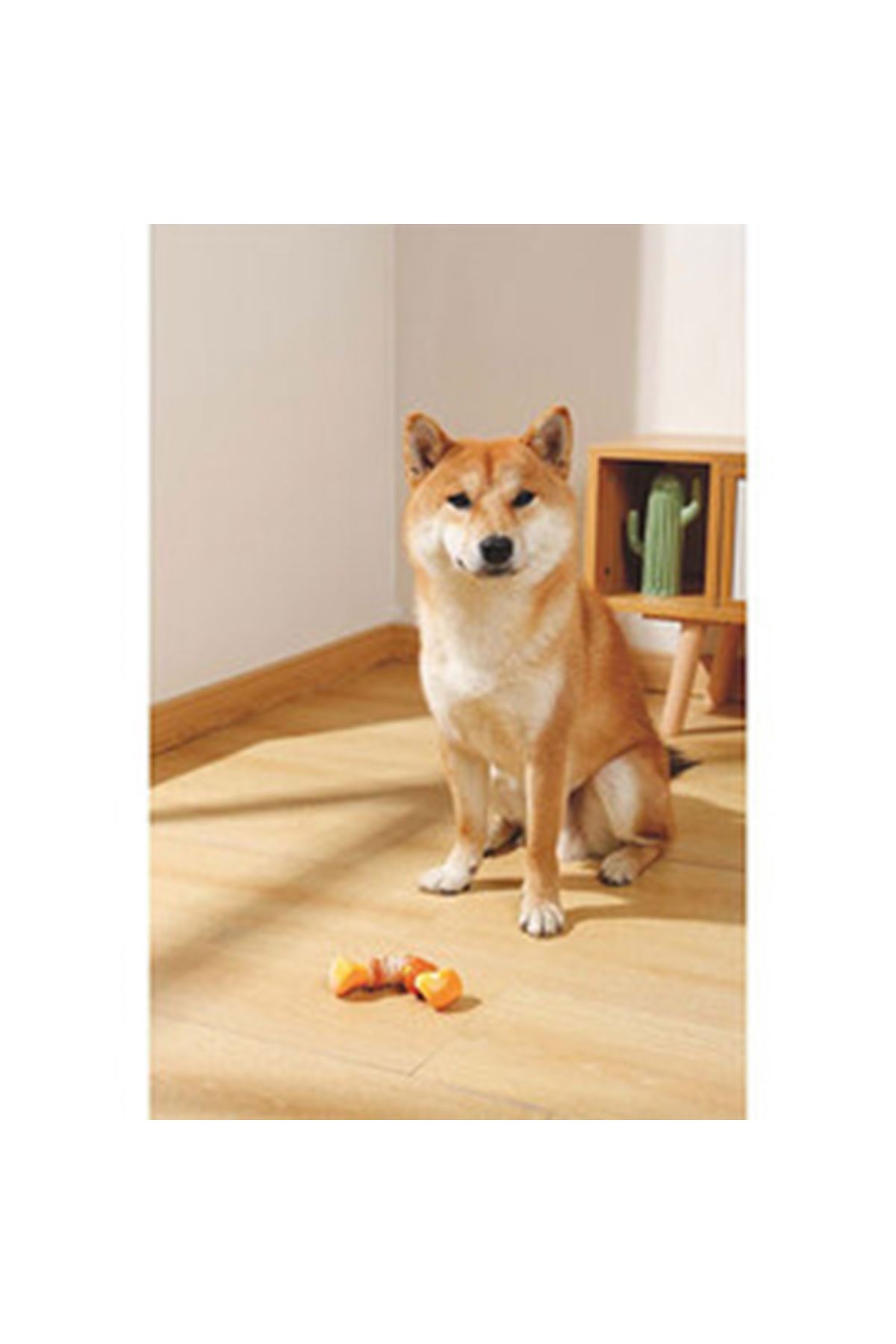 M-Pets Köpek Oyuncağı Pastırmalı 12.5*6,1*3.7 Cm