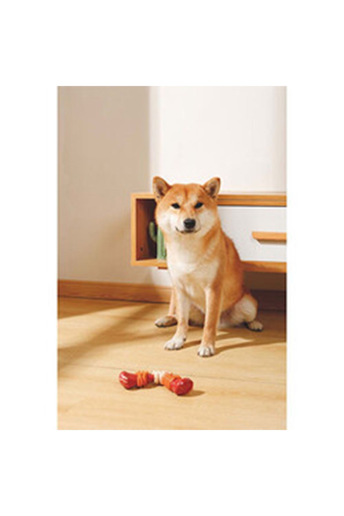 M-Pets Köpek Oyuncağı Pastırmalı 17.8*9.3*4.1Cm