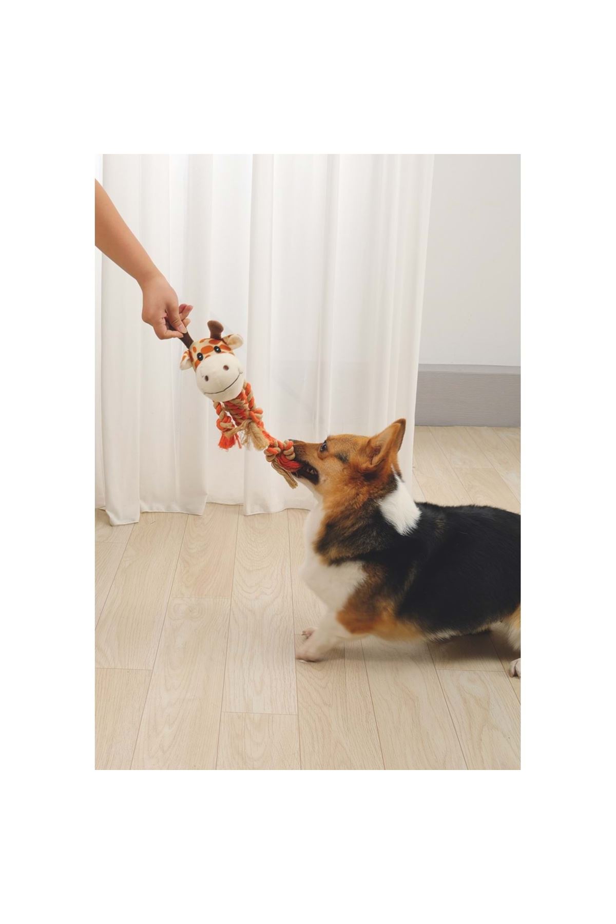 M-Pets Köpek Oyuncağı Zia 33*26*10 Cm