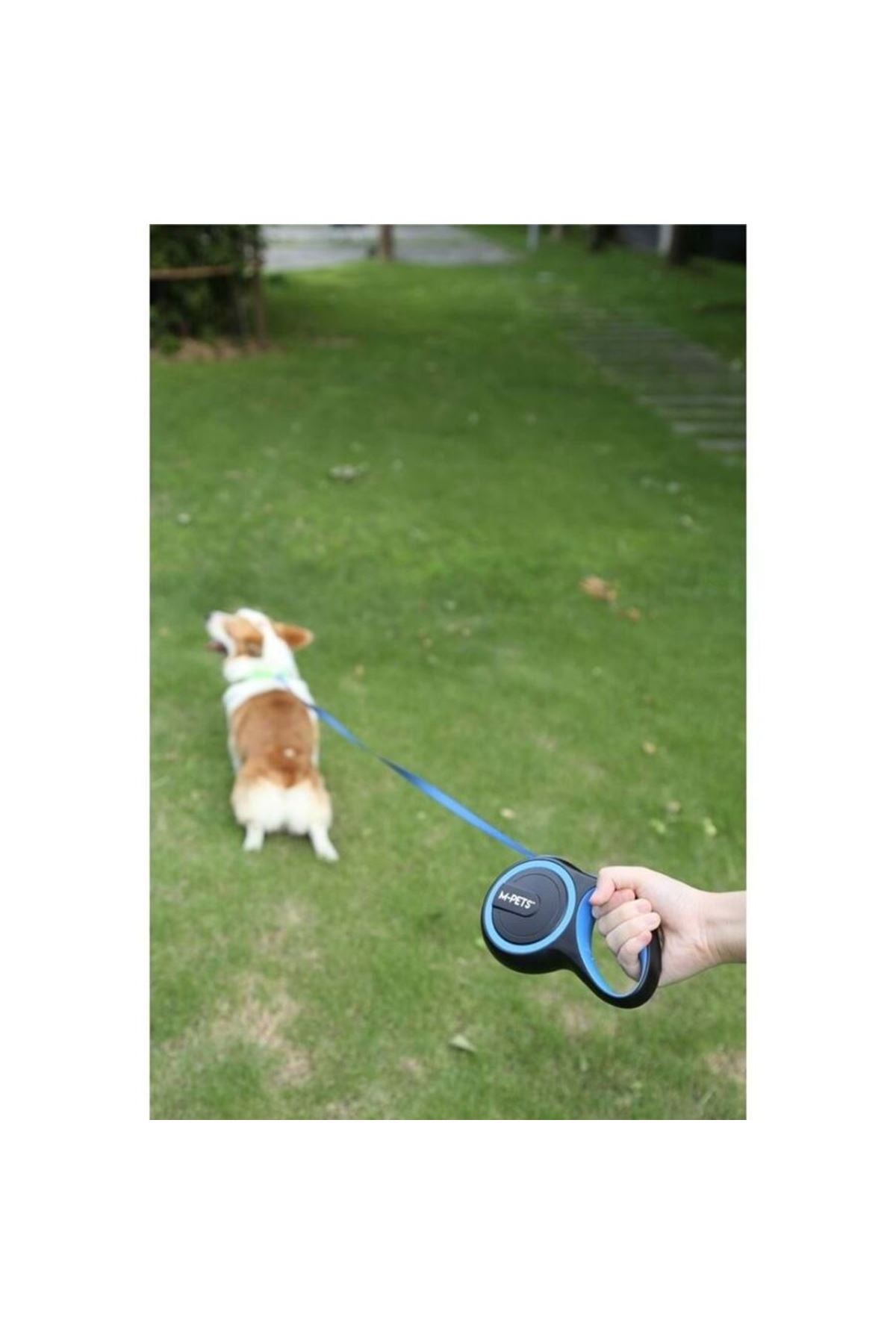 M-Pets Köpek Gezdirme Tasma Otomatik Mavi (M) 5M