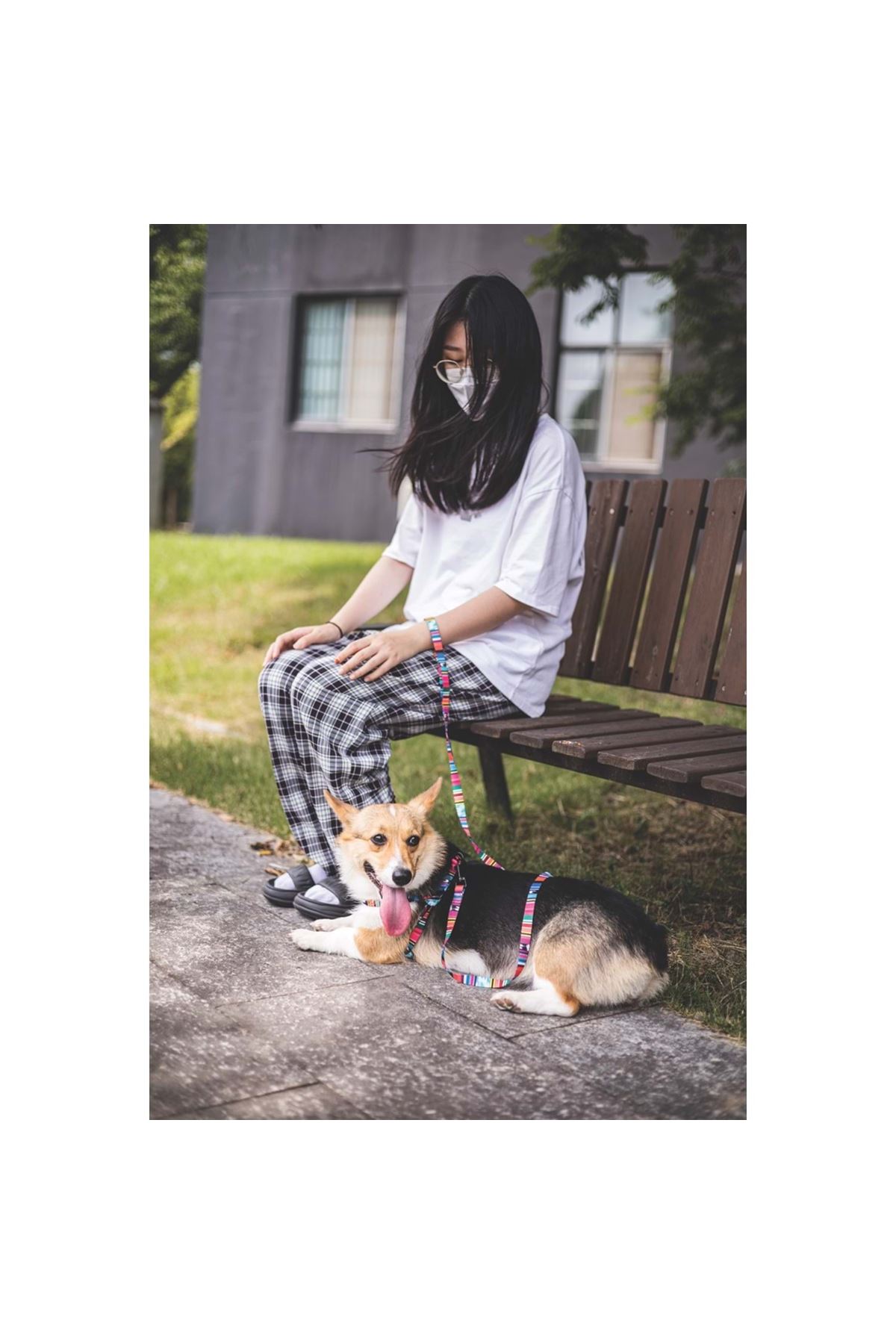 M-Pets Köpek Gezdirme Kayışı Urban Style Jazz (S)