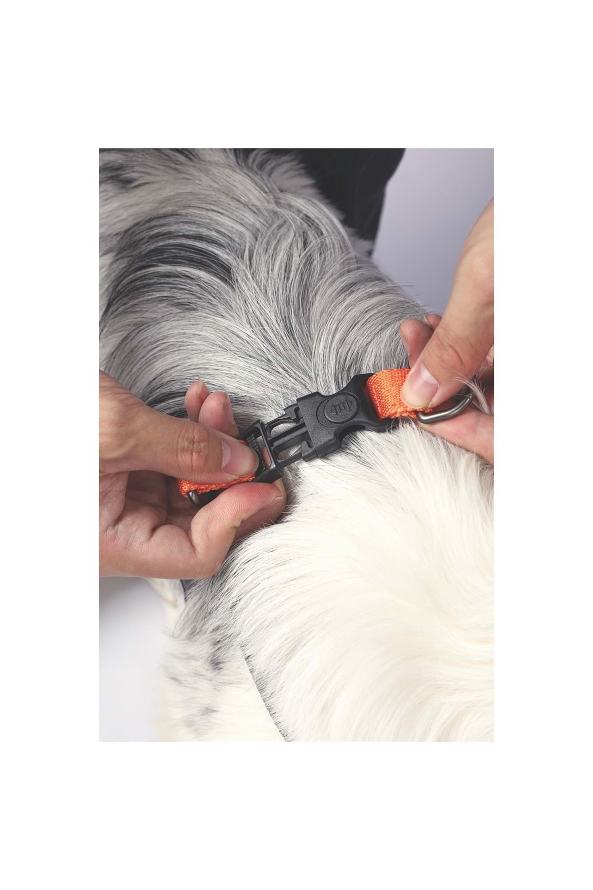 M-Pets Köpek Göğüs Tasması Wild Jungle Harness (M)
