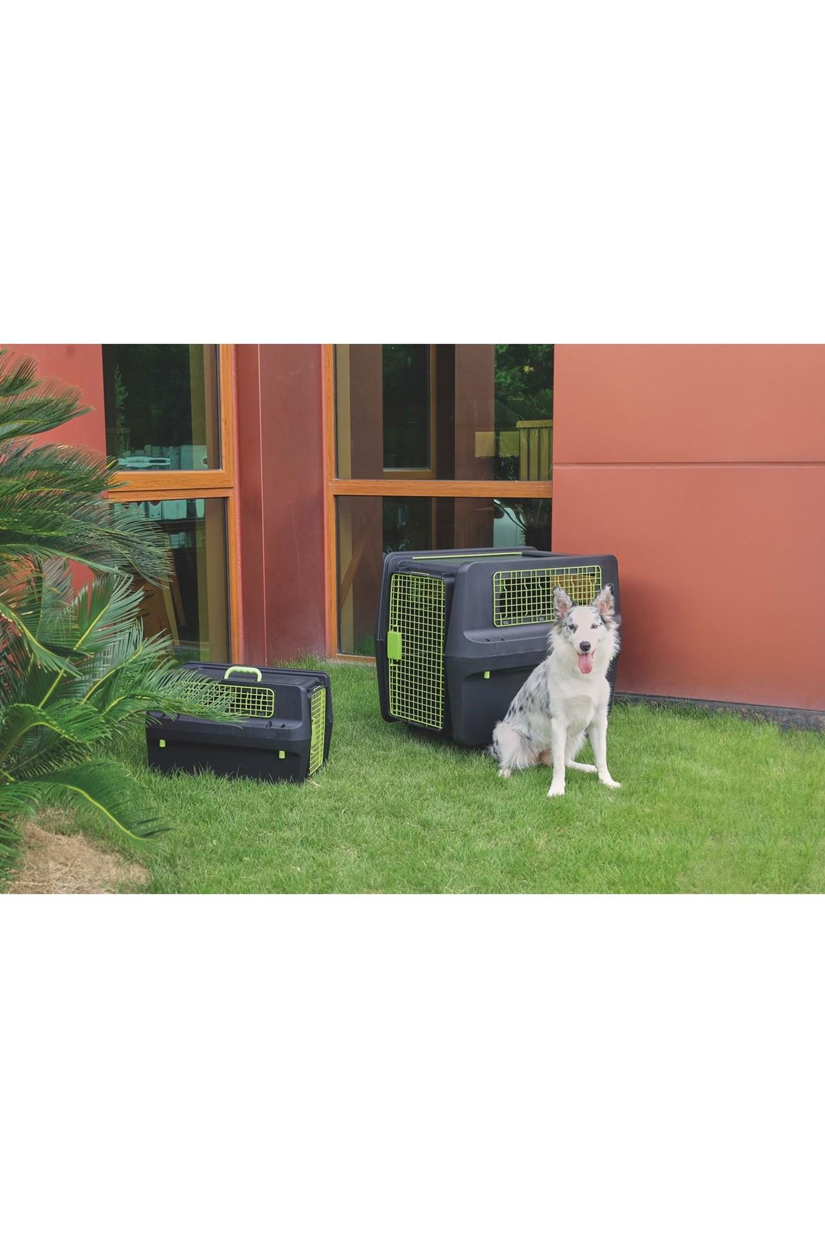 M-PETS Köpek Taşıma Kafesi Tekerlekli (L)