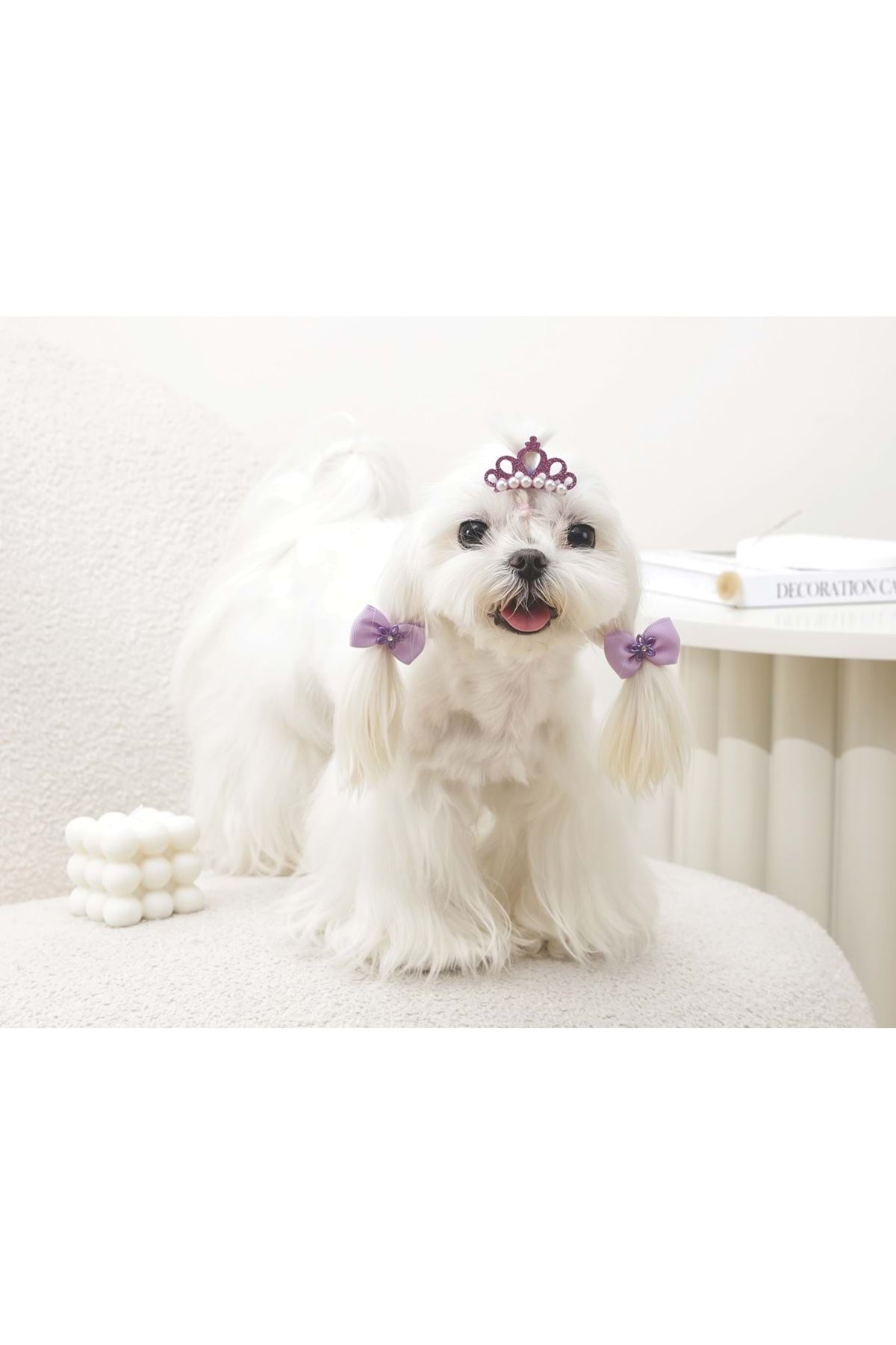 M-Pets Glam Köpekler İçin Toka Mor