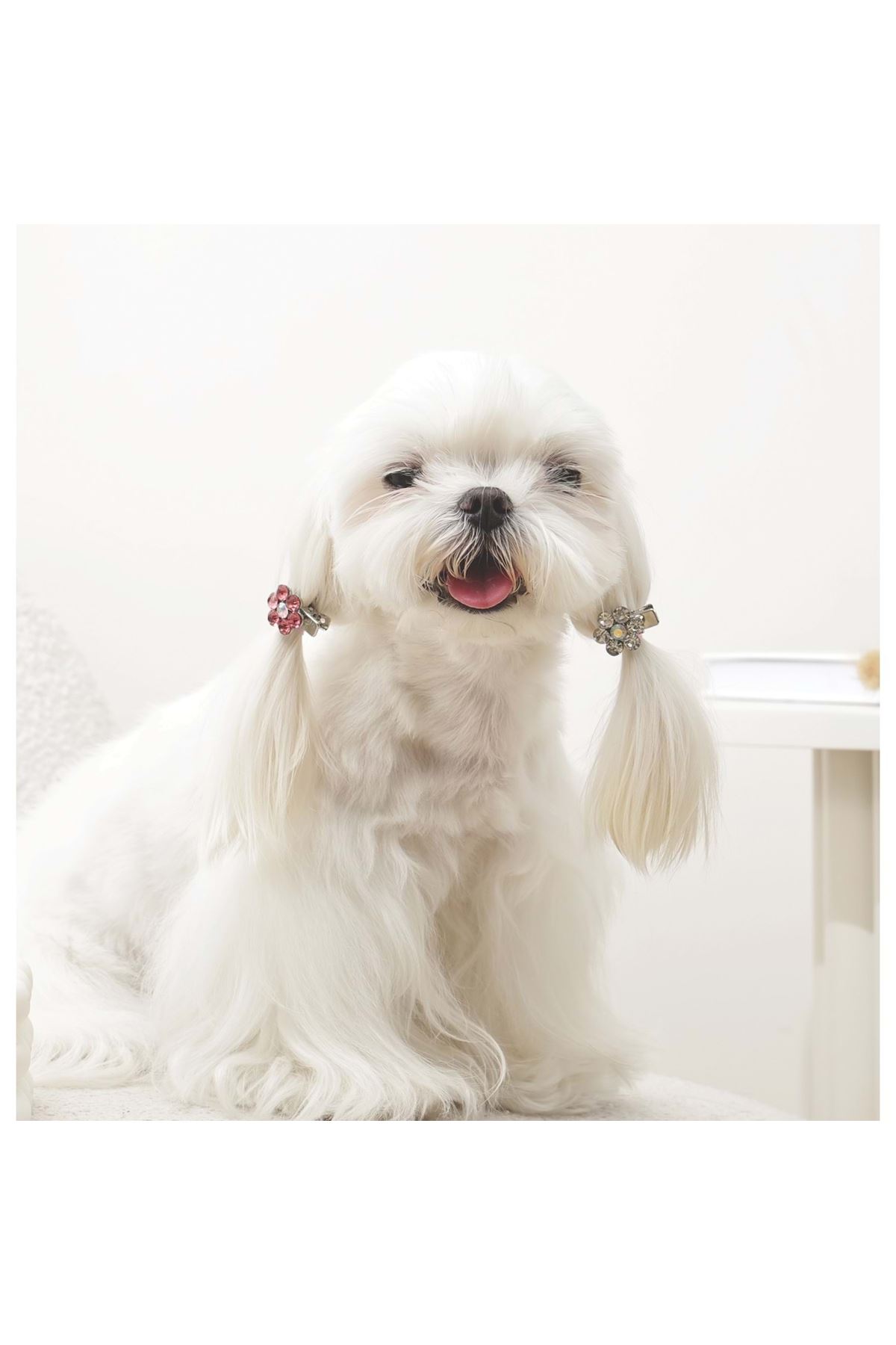 M-Pets Kedi ve Köpek Toka Çiçekli Pembe Beyaz