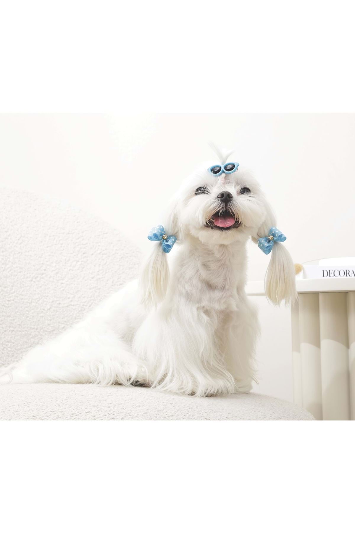 M-Pets Glam Köpekler İçin Toka Mavi