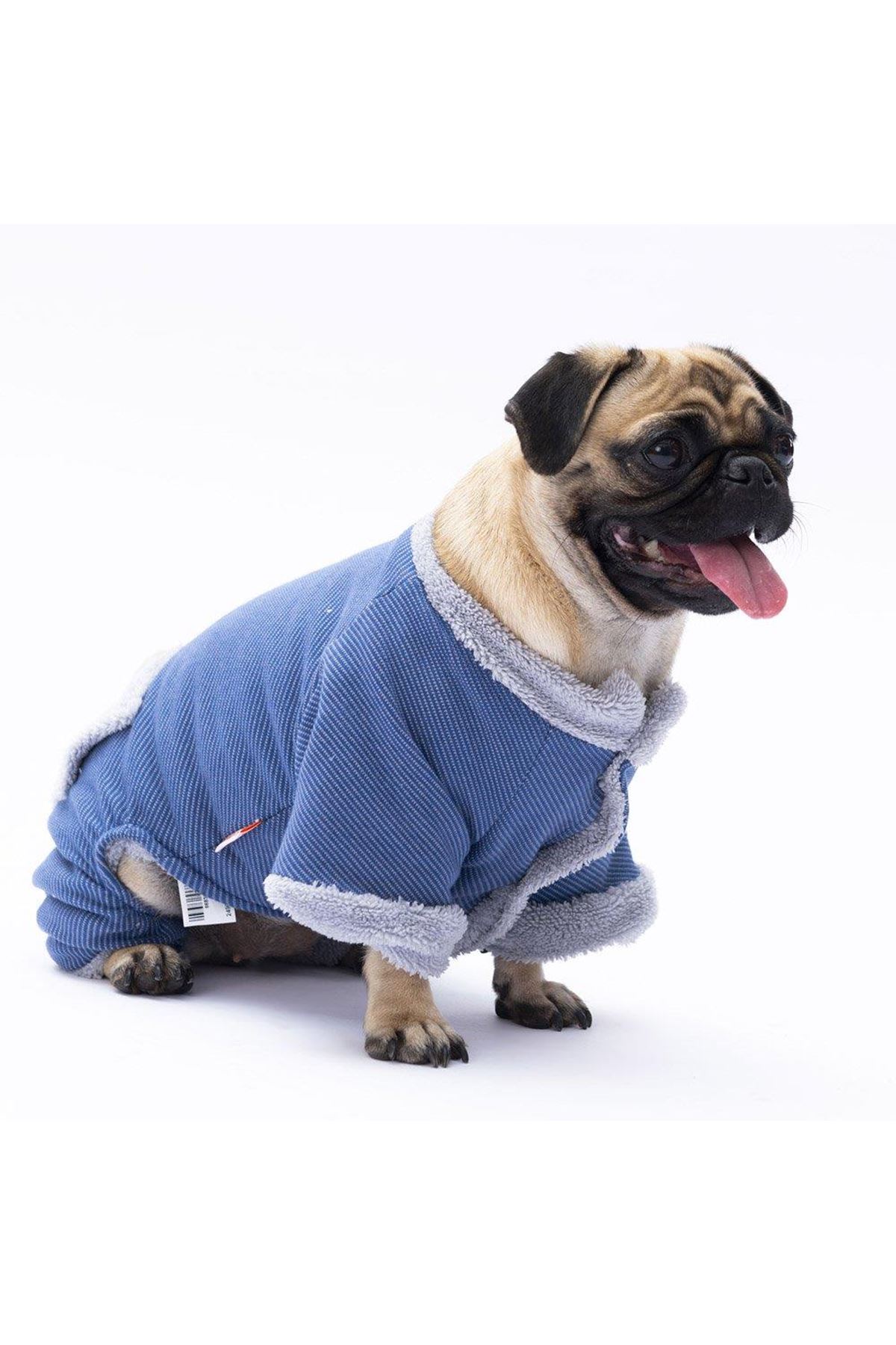 Pawstar Tulum Mavi Alabama (XL)