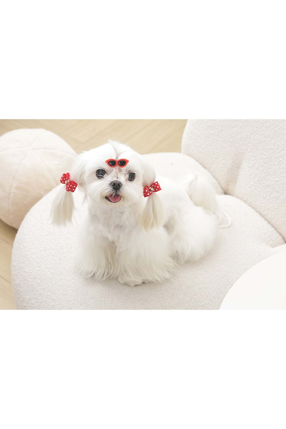 M-Pets Glam Köpekler İçin Toka Kırmızı