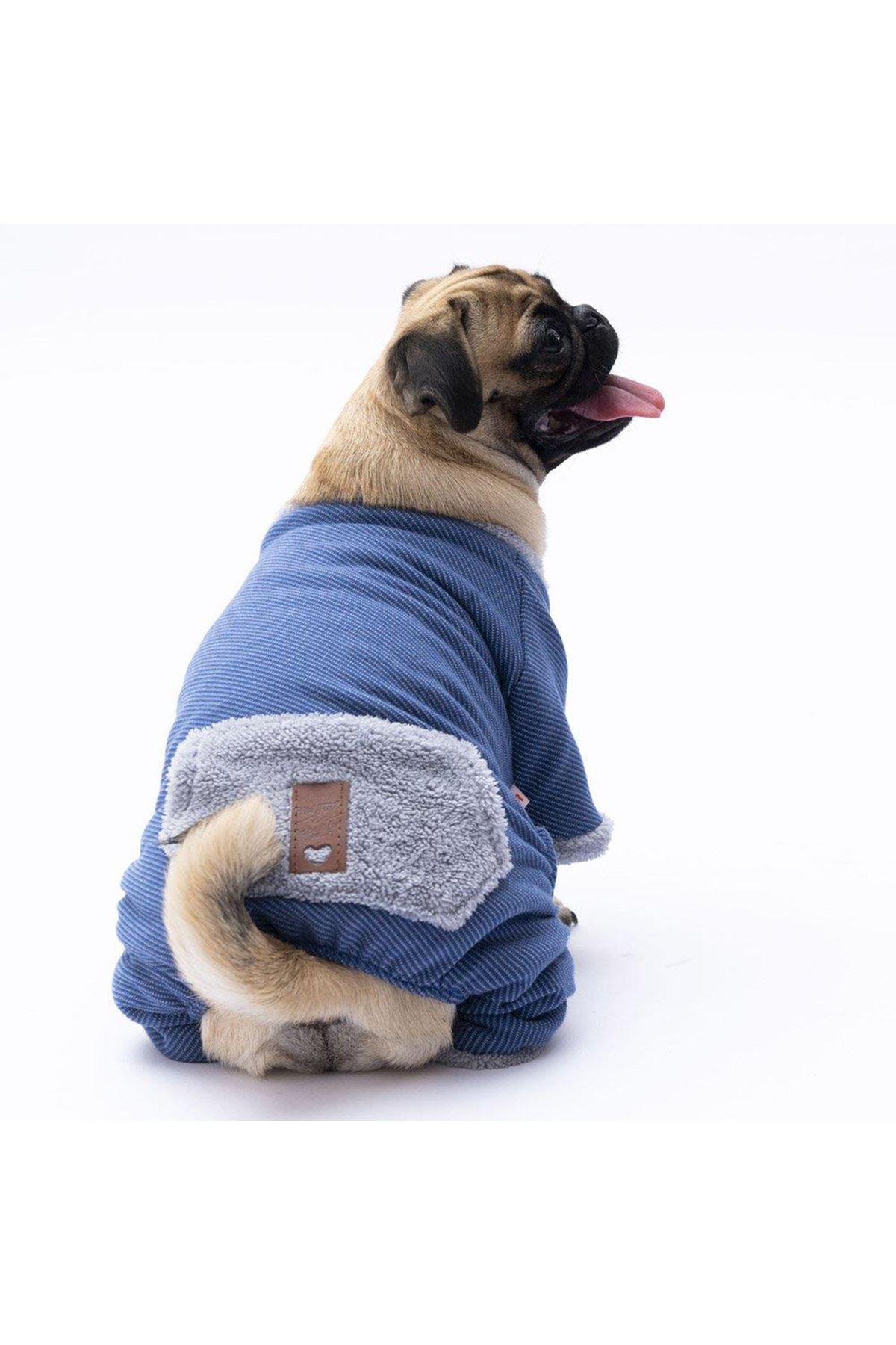 Pawstar Tulum Mavi Alabama (XL)