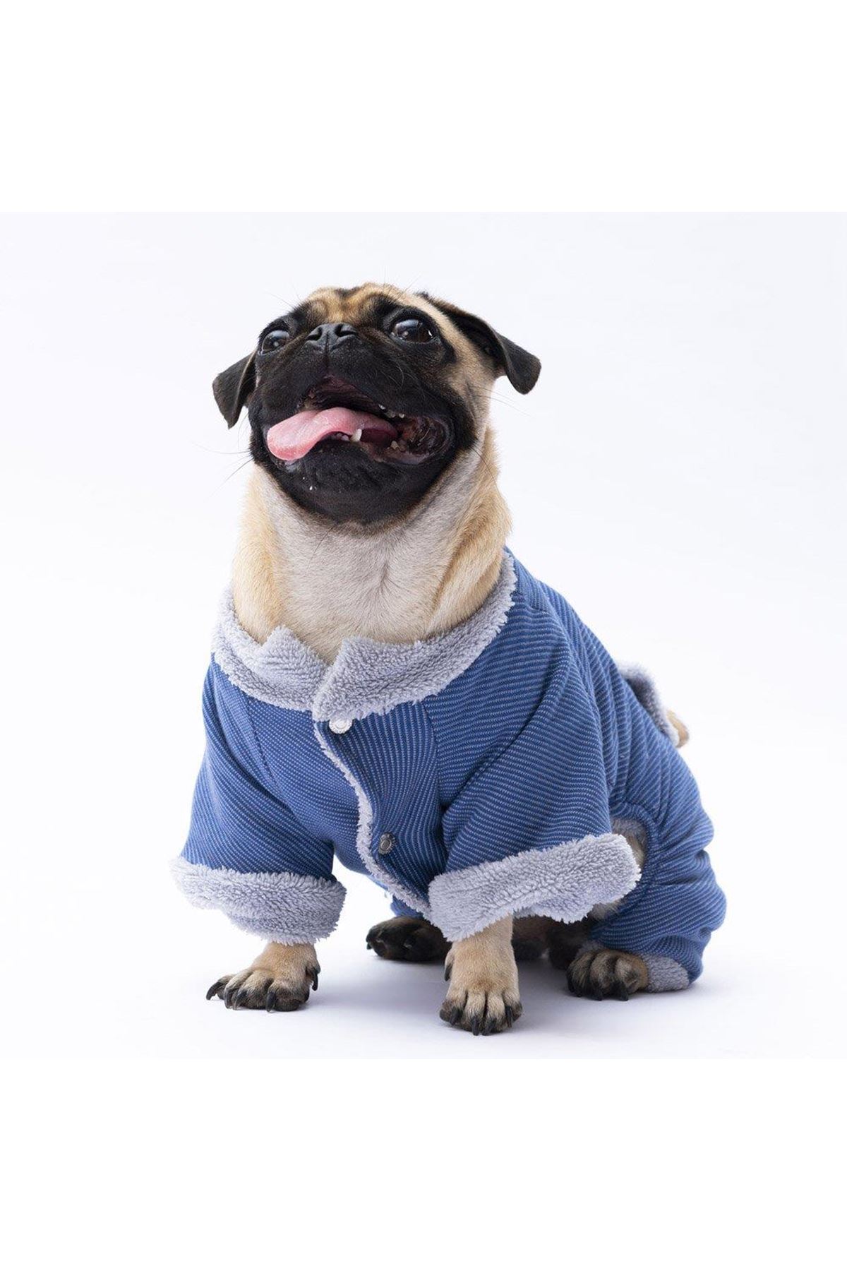 Pawstar Tulum Mavi Alabama (2XL)