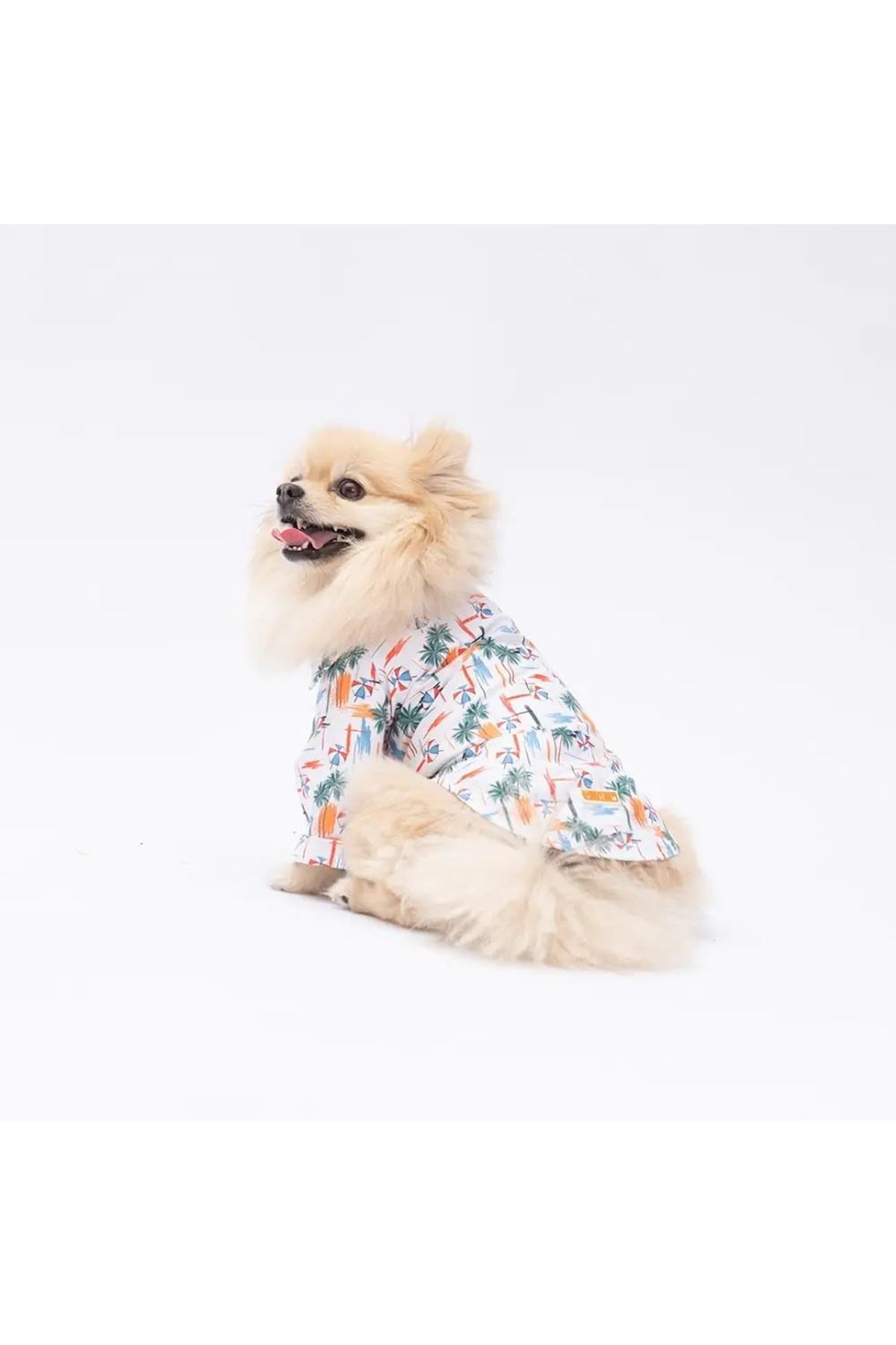 Pawstar Shirt Beach Palmiye Desenli (M)