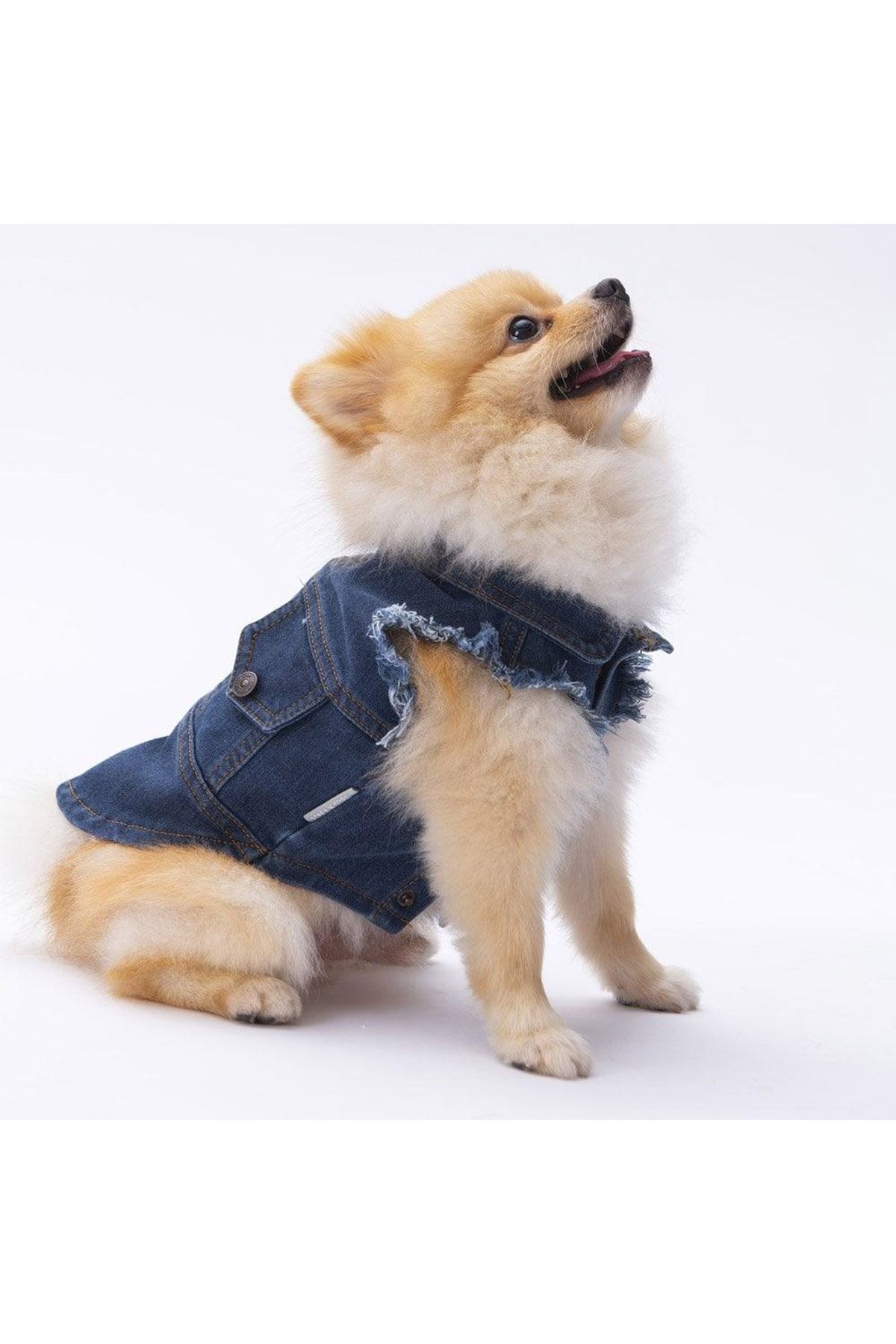 Pawstar Kot Yelek (XL)