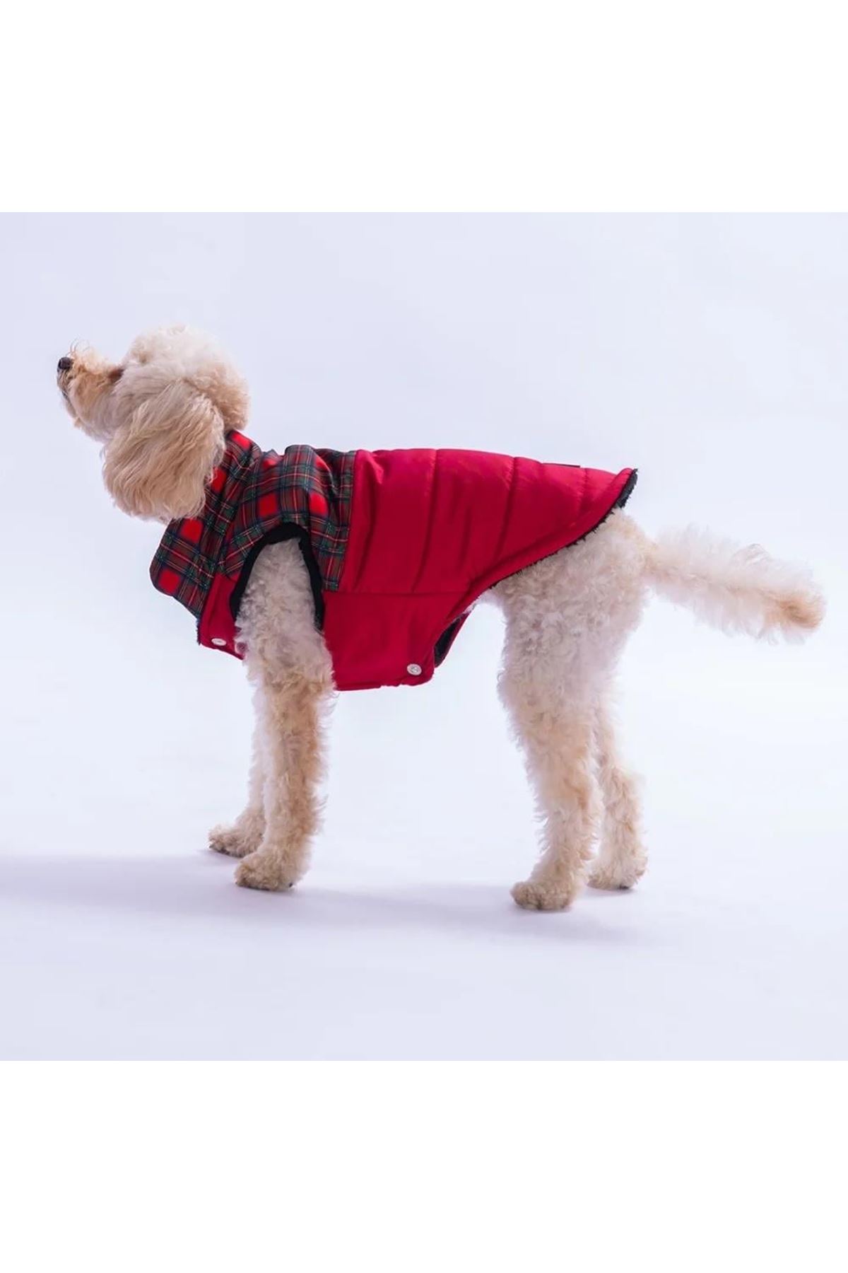 Pawstar Yelek Elgin Paws Kırmızı (2XL)