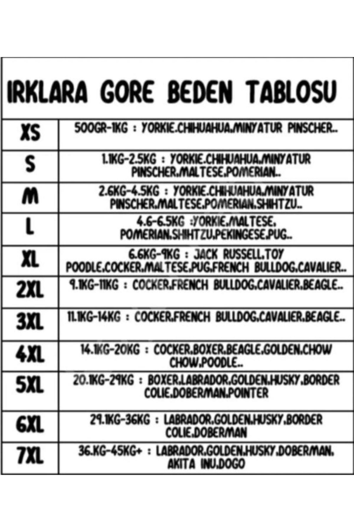 Pawstar T-Shirt Mutlu Kaktüs Desenli (S)