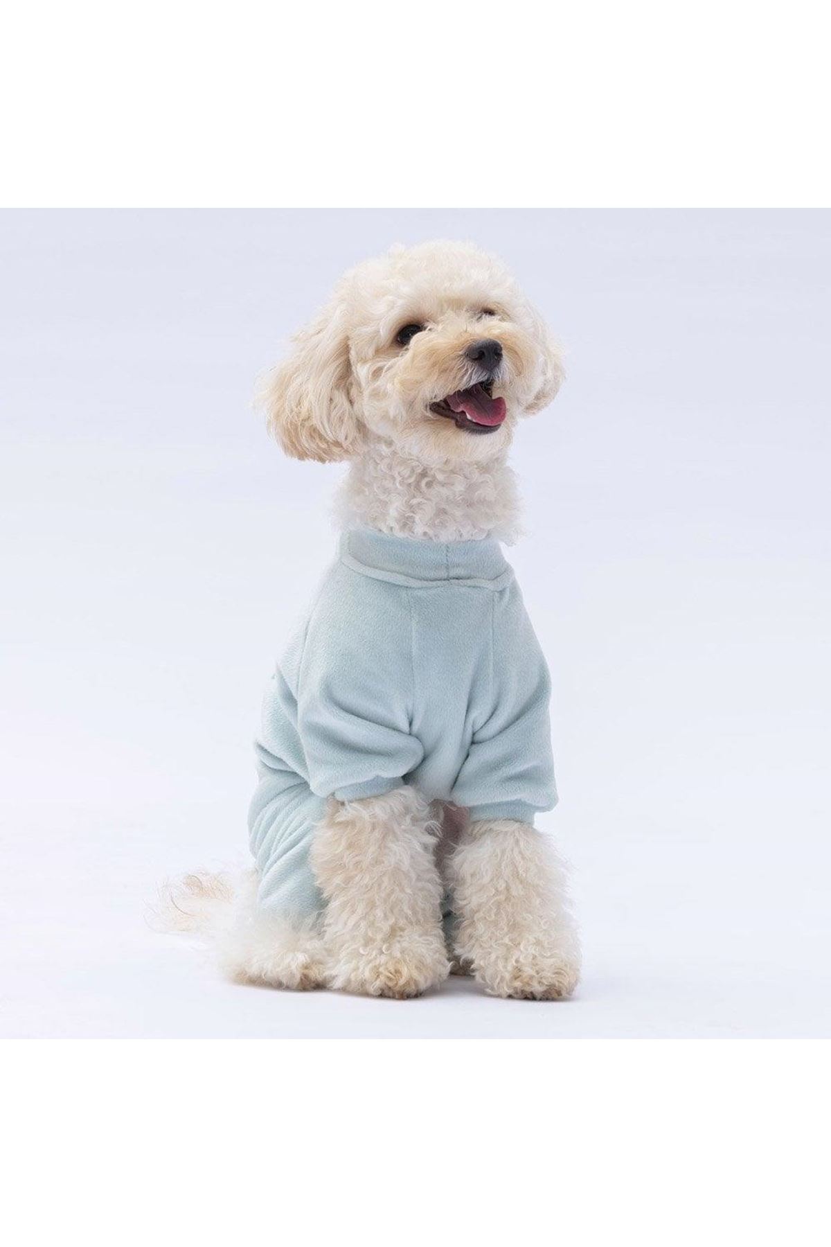 Pawstar Tulum Mint Angers (XL)