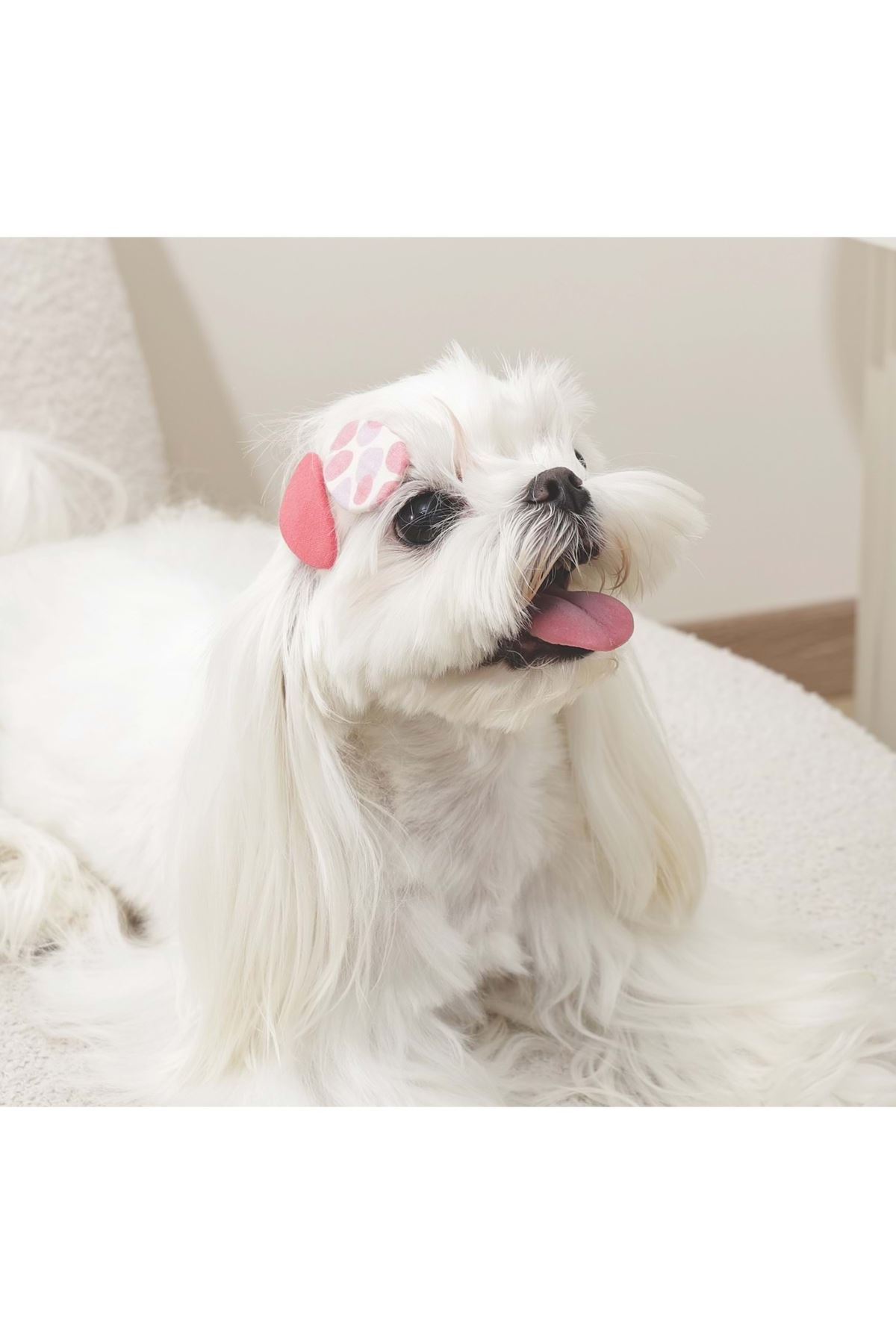 M-Pets Glam Köpekler İçin Toka Kırmızı