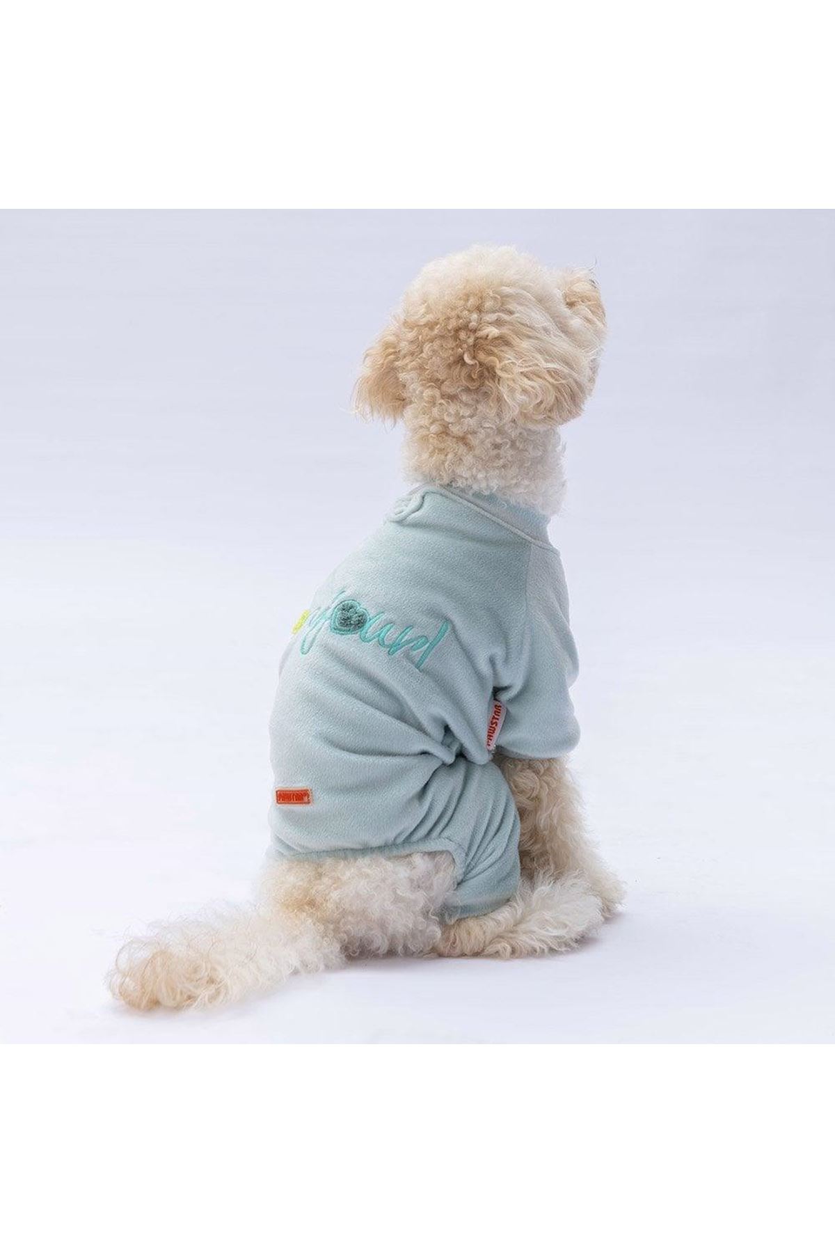 Pawstar Tulum Mint Angers (L)