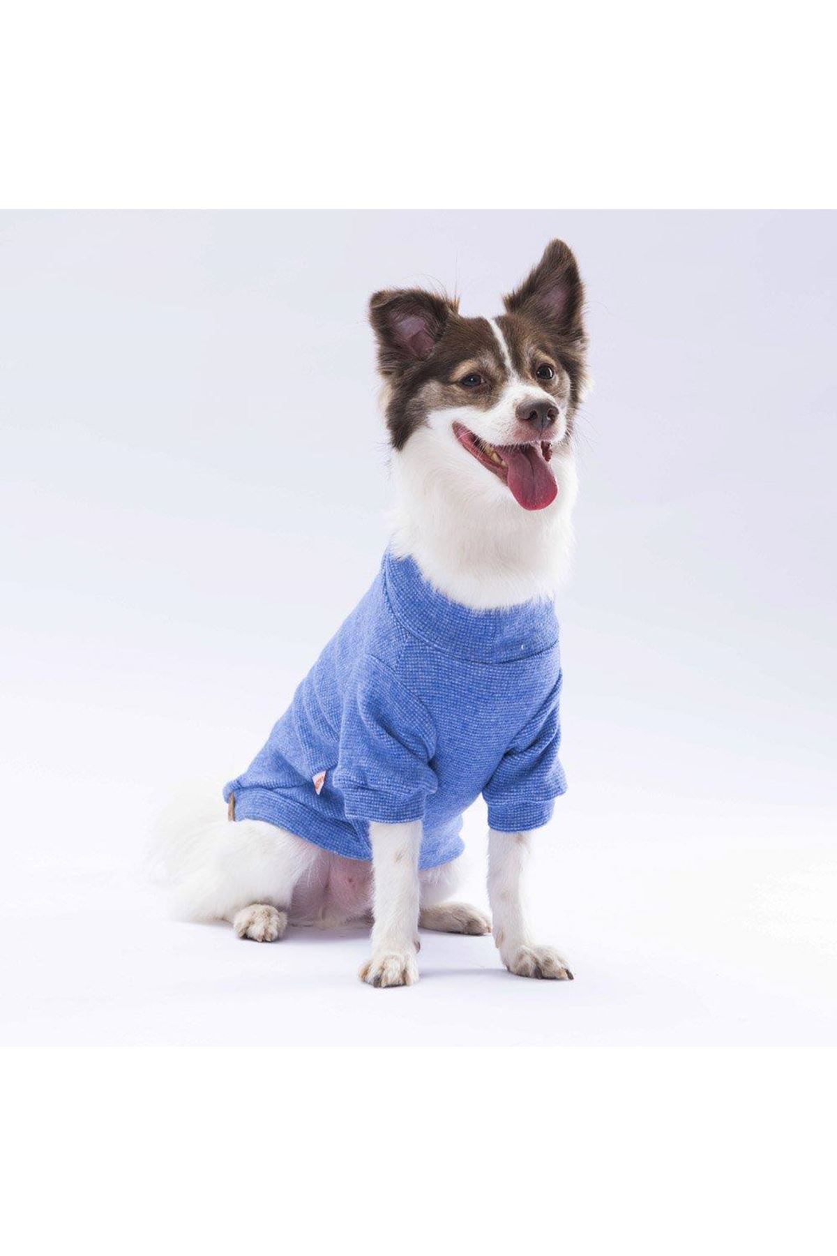 Pawstar Sweat Merinos Mavi Renkli (M)