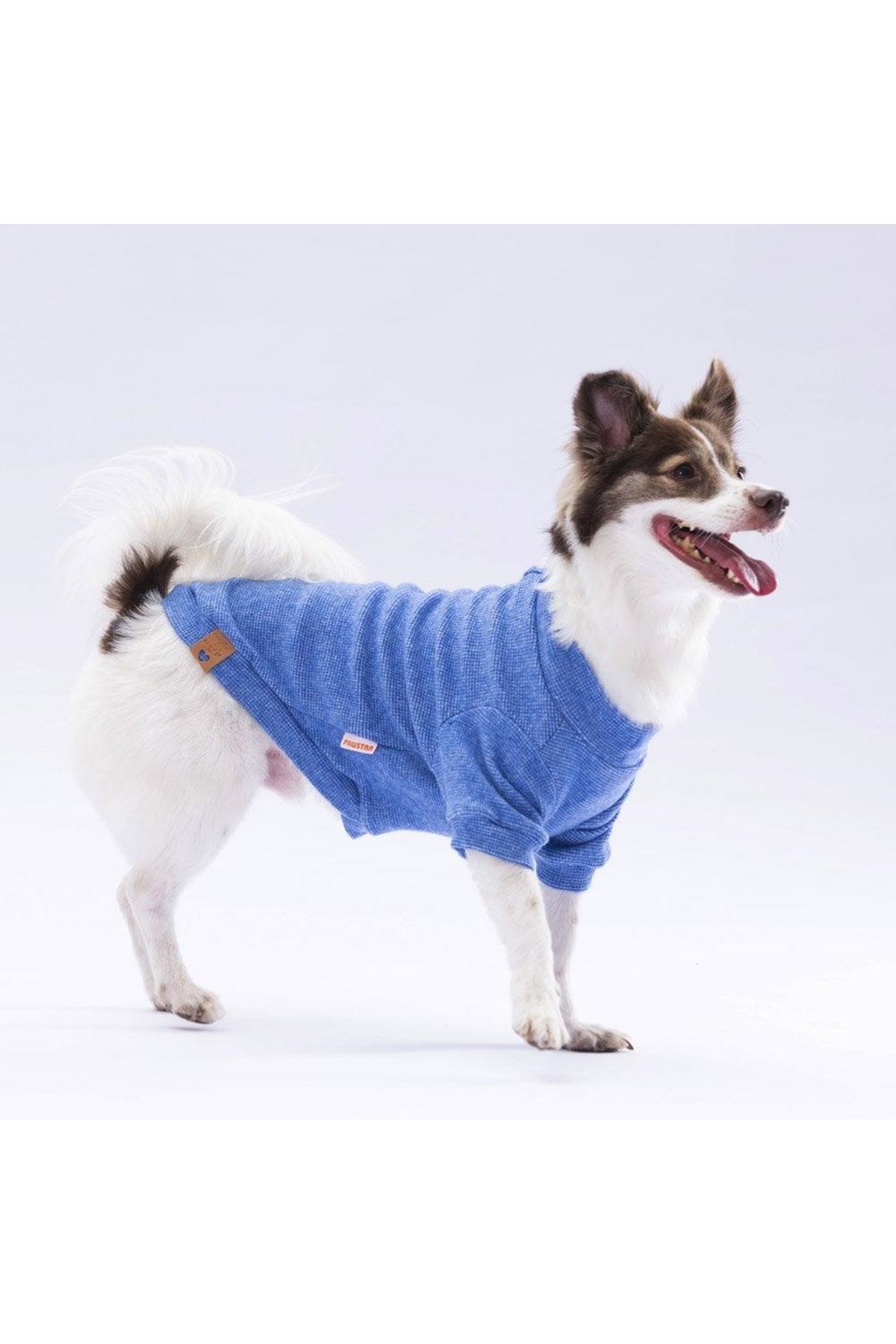 Pawstar Sweat Merinos Mavi Renkli (L)