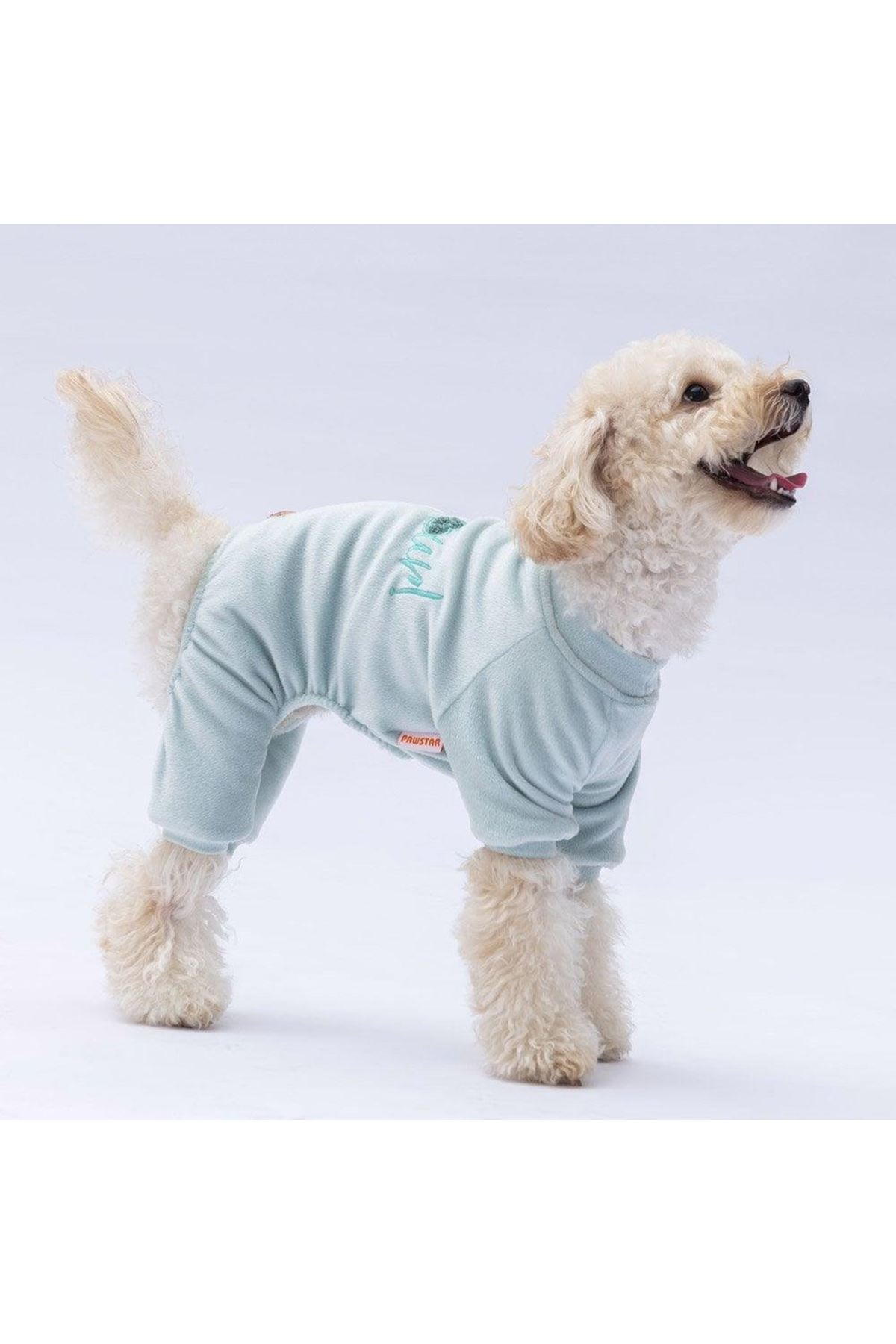 Pawstar Tulum Mint Angers (S)