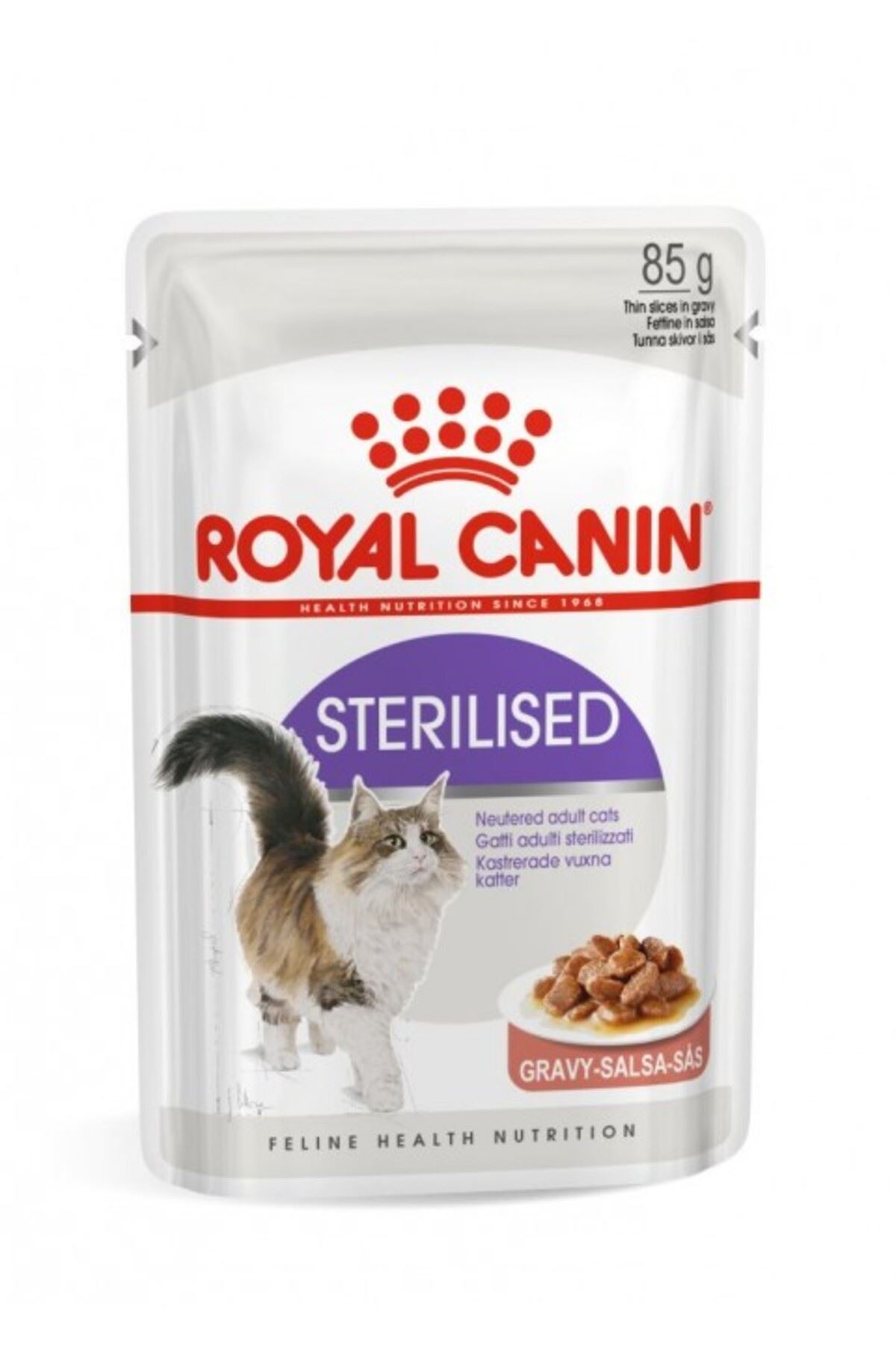 Pawstar Cozie Bear Desenli Kot Gömlek (M)