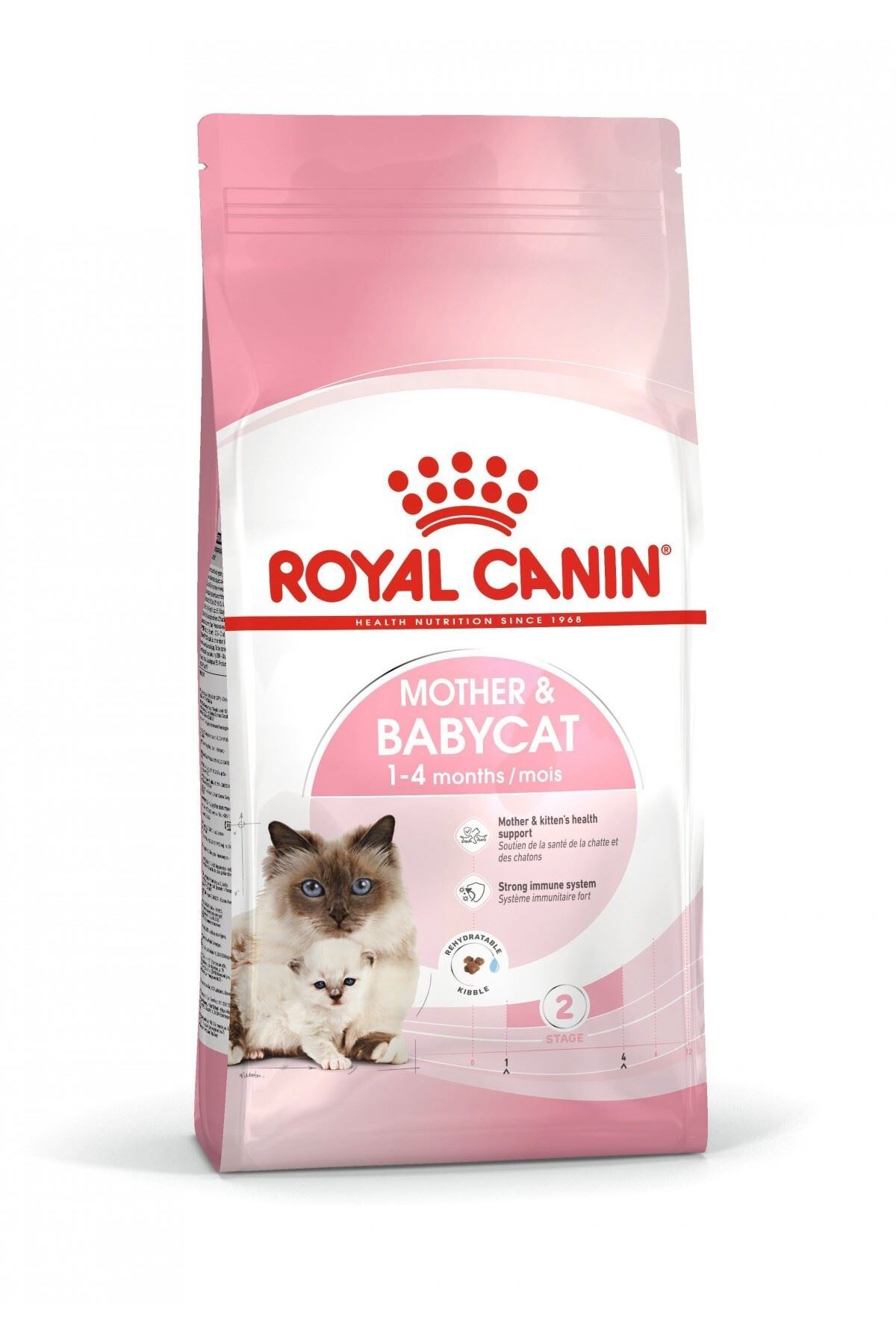 Pawstar Tişört Rainbow Desenli (S)