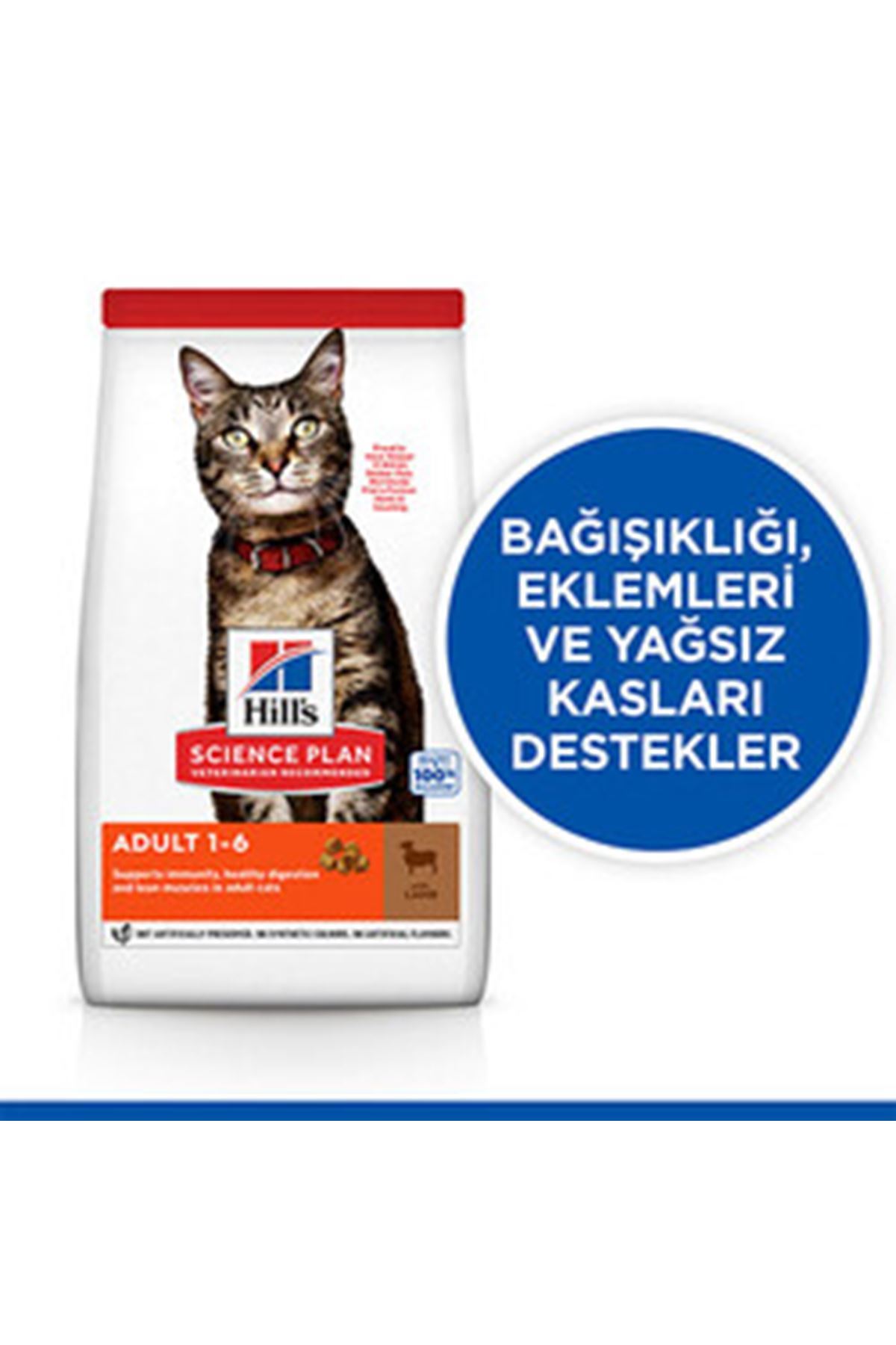 Benetton Yatak Puantiyeli Yeşil (S) 60*40 Cm
