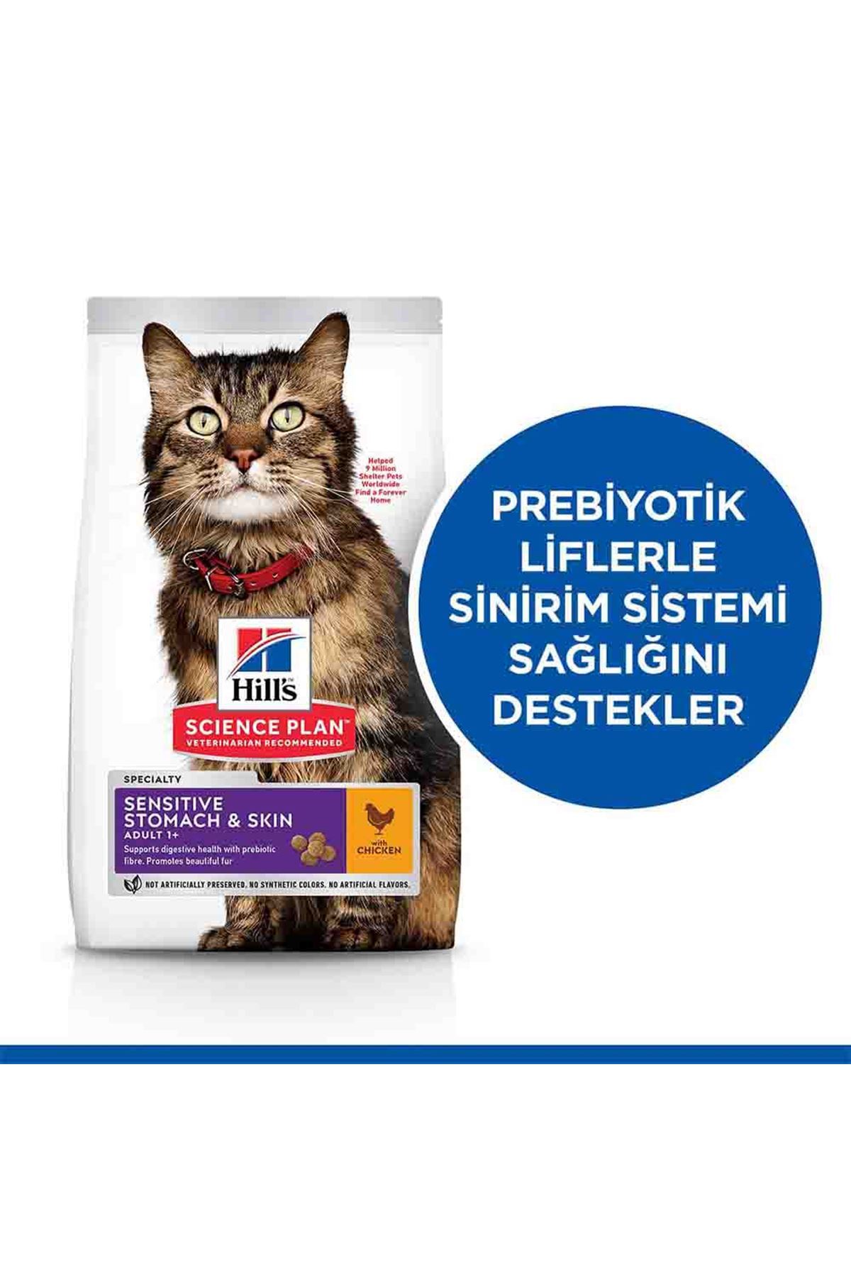 Benetton Yatak Puantiyeli Yeşil (XL) 100*70 Cm