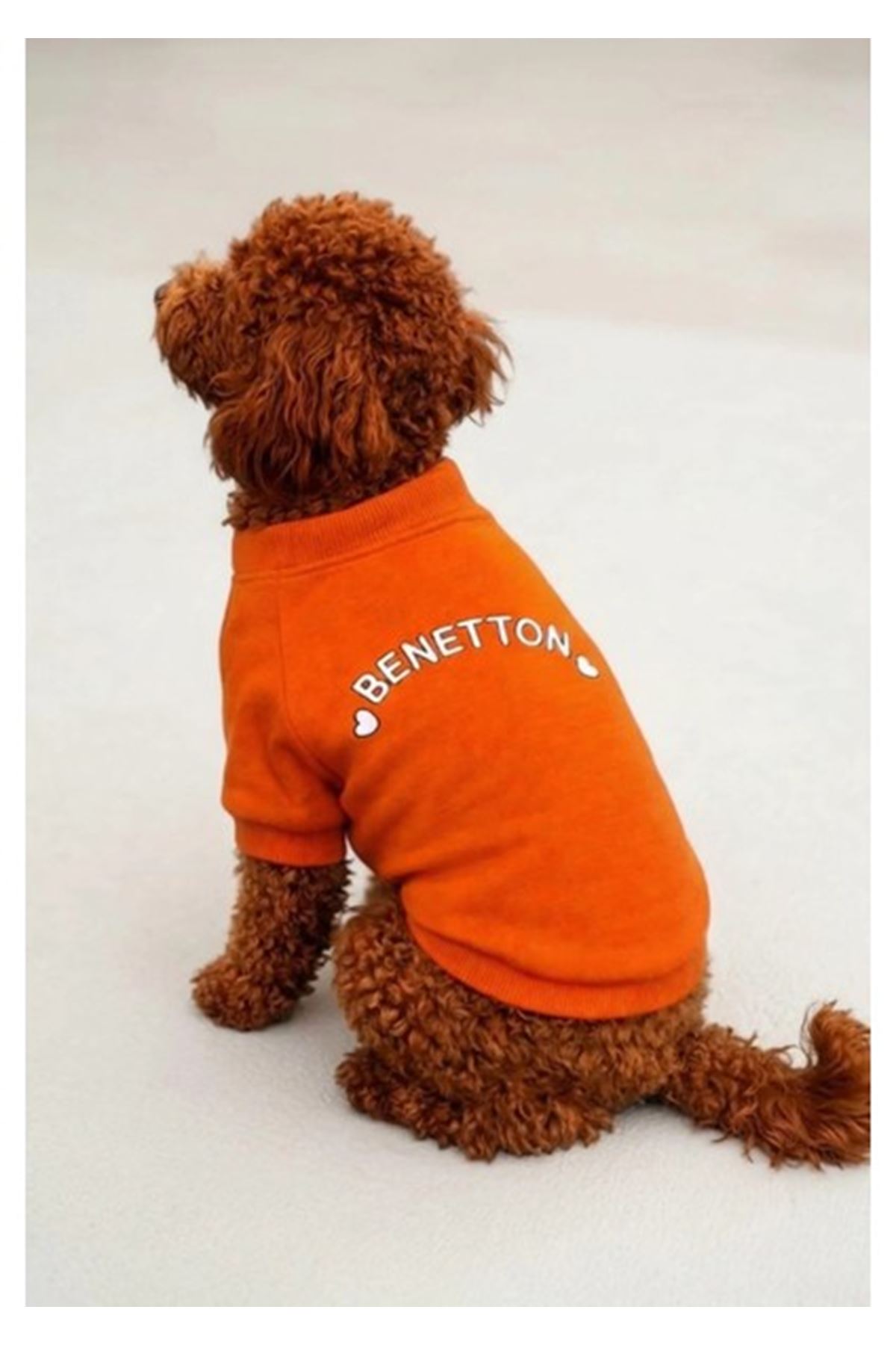 Benetton Sweatshirt Turuncu (XL)