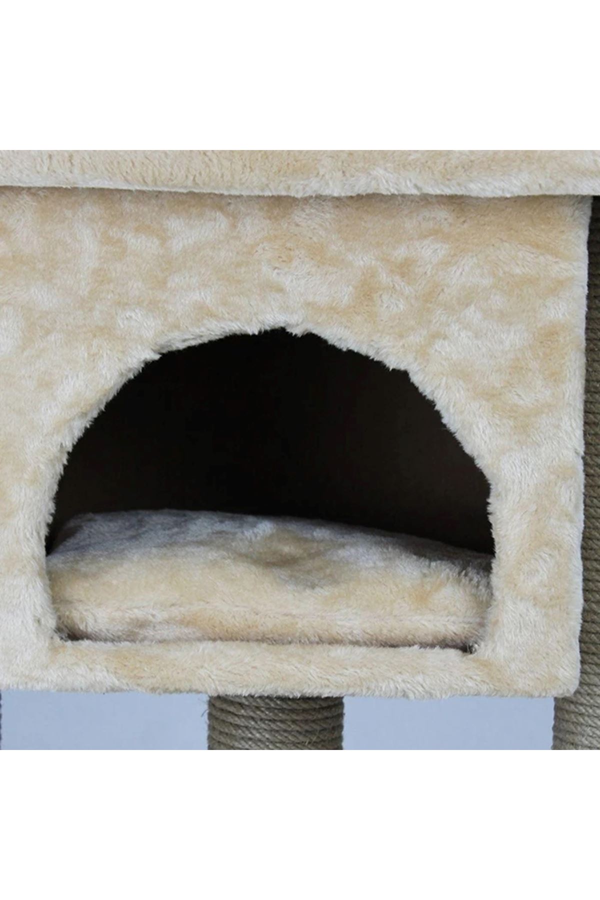Lotus Kedi Tırmalama İzmir Bal Rengi