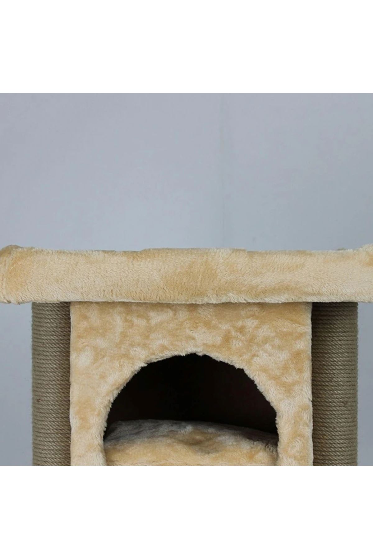 Lotus Kedi Tırmalama İzmir Bal Rengi