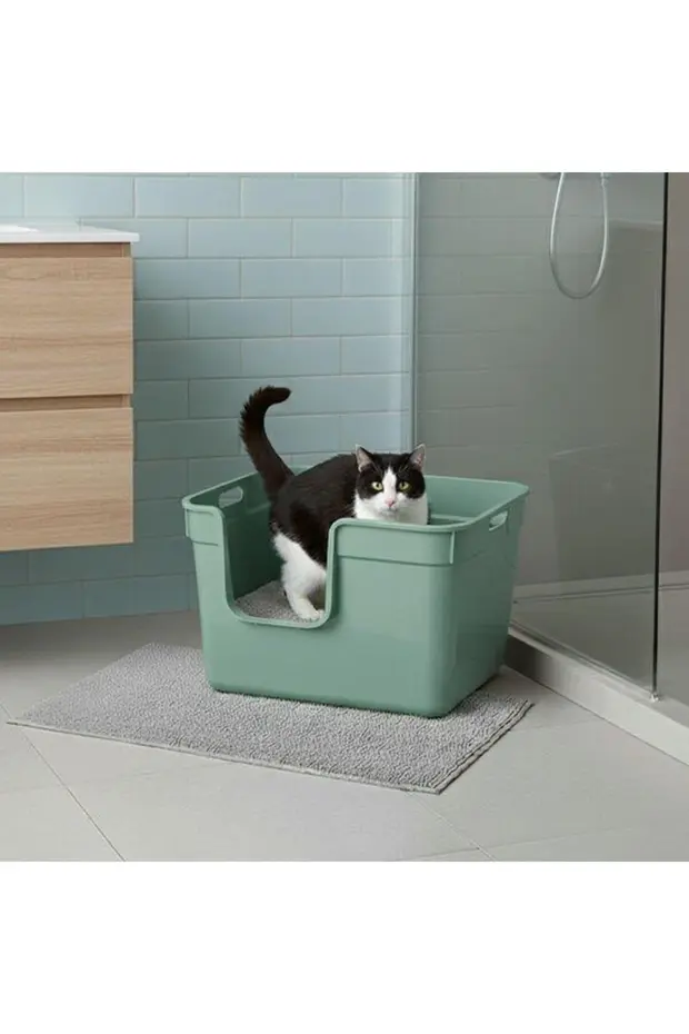 Tanos Kedi Tuvaleti Yeşil 545*400*325 Mm