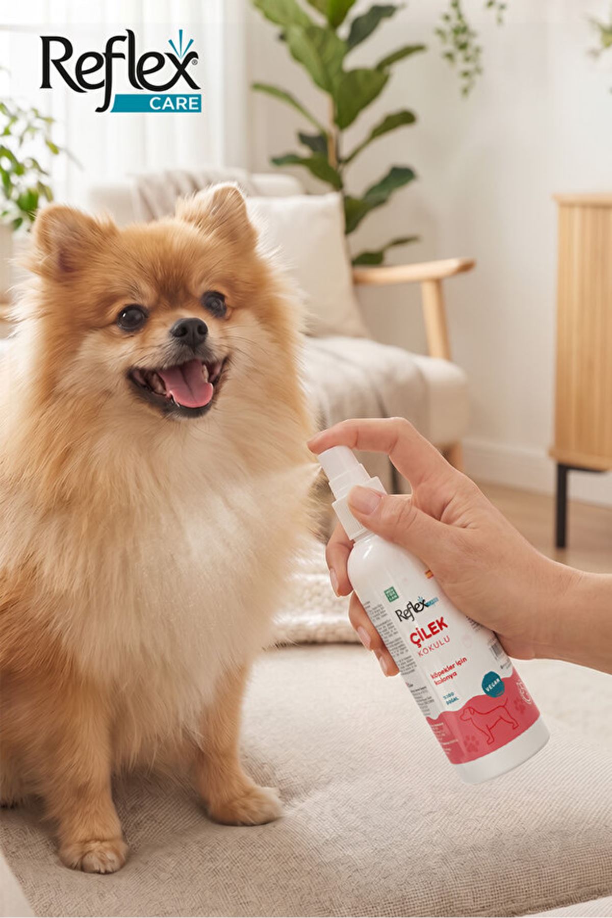Reflex Care Köpek Kolonyası Çilek Kokulu 125 Ml