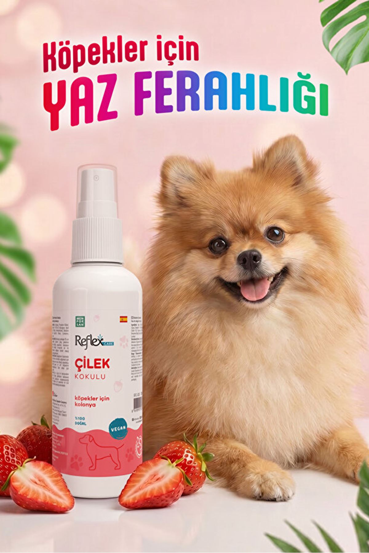 Reflex Care Köpek Kolonyası Çilek Kokulu 125 Ml