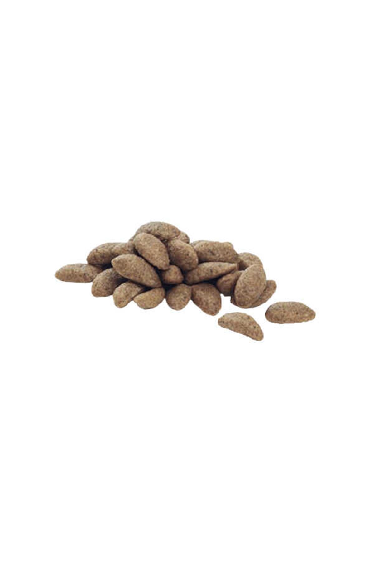 Proplan Köpek Maması Orta Irk Kuzulu 14 Kg