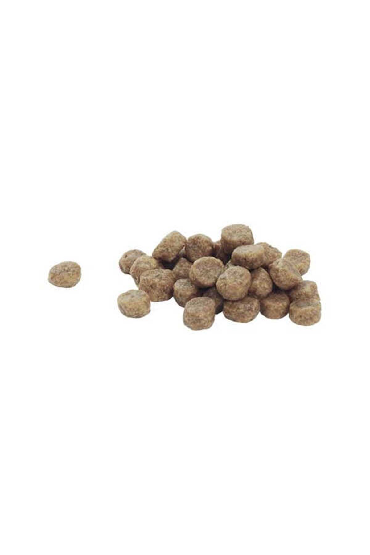 Proplan Yavru Köpek Maması Küçük Irk Somonlu 3 Kg